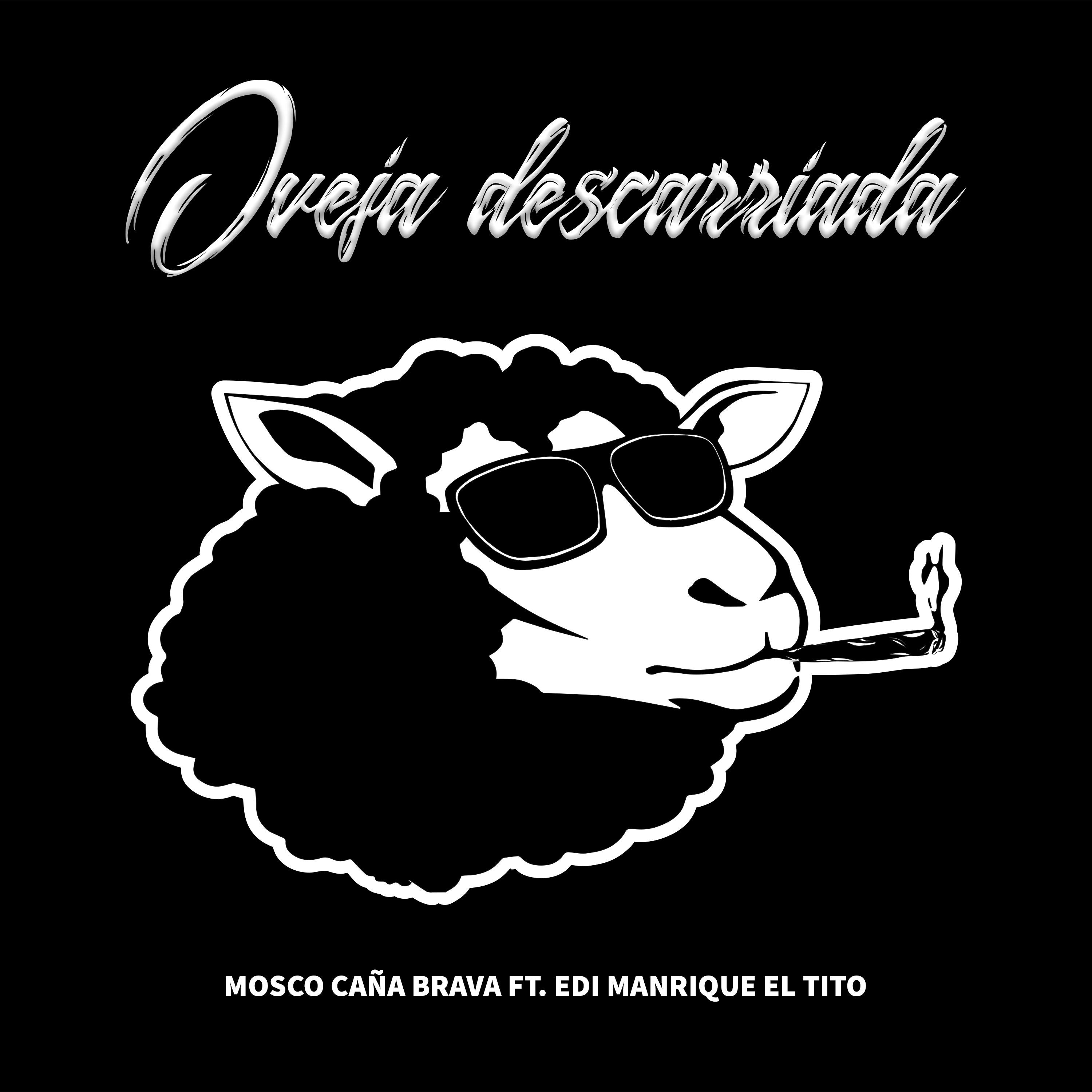 Постер альбома Oveja Descarriada