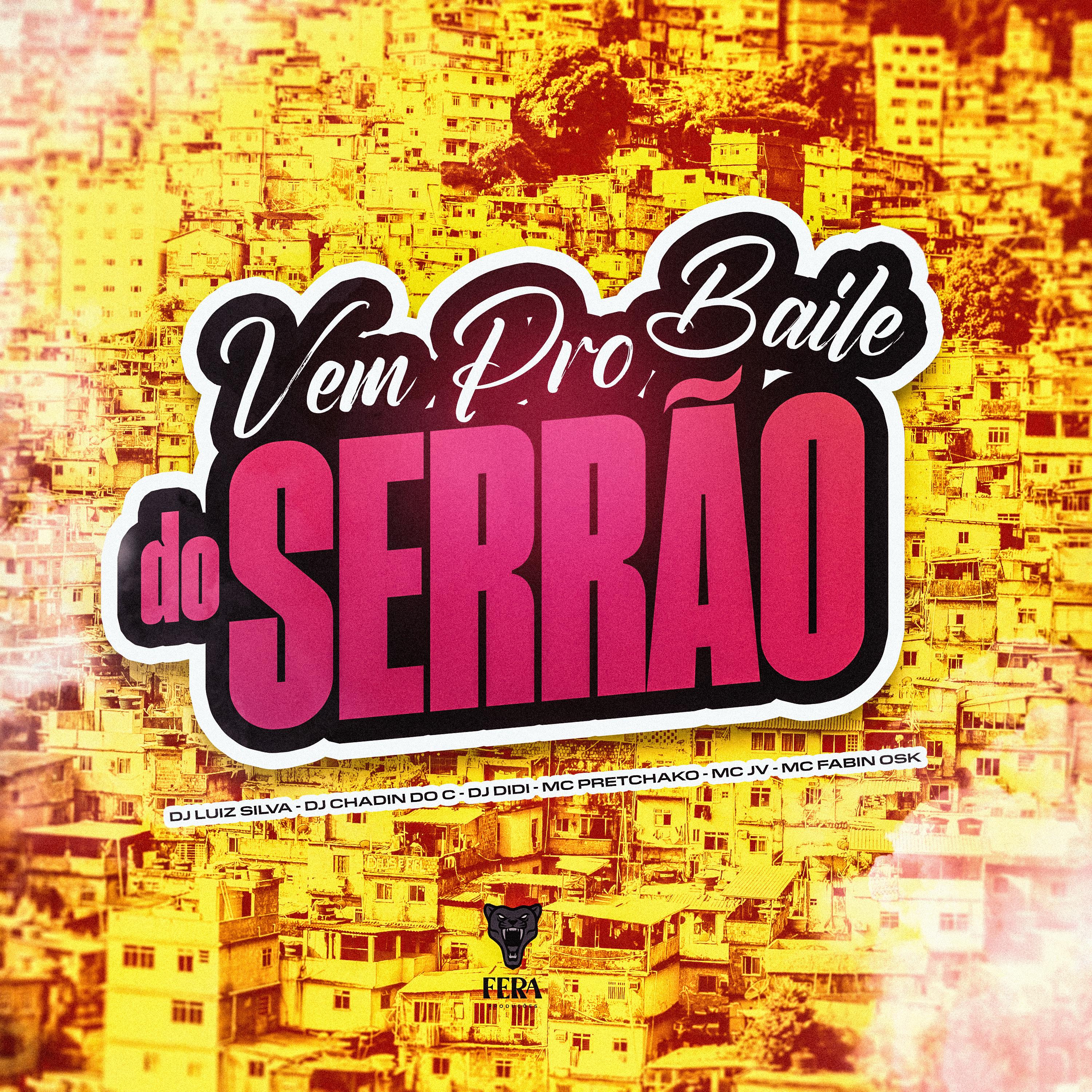 Постер альбома Vem pro Baile do Serrão