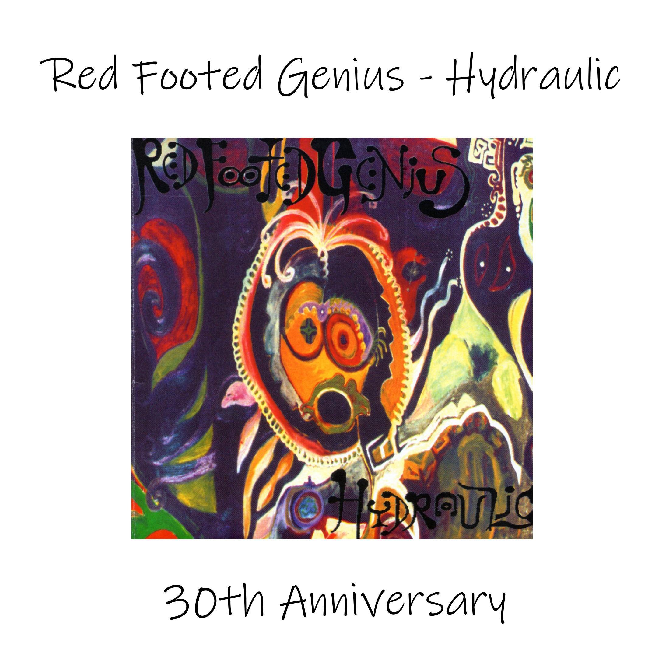 Постер альбома Hydraulic  30th Anniversary