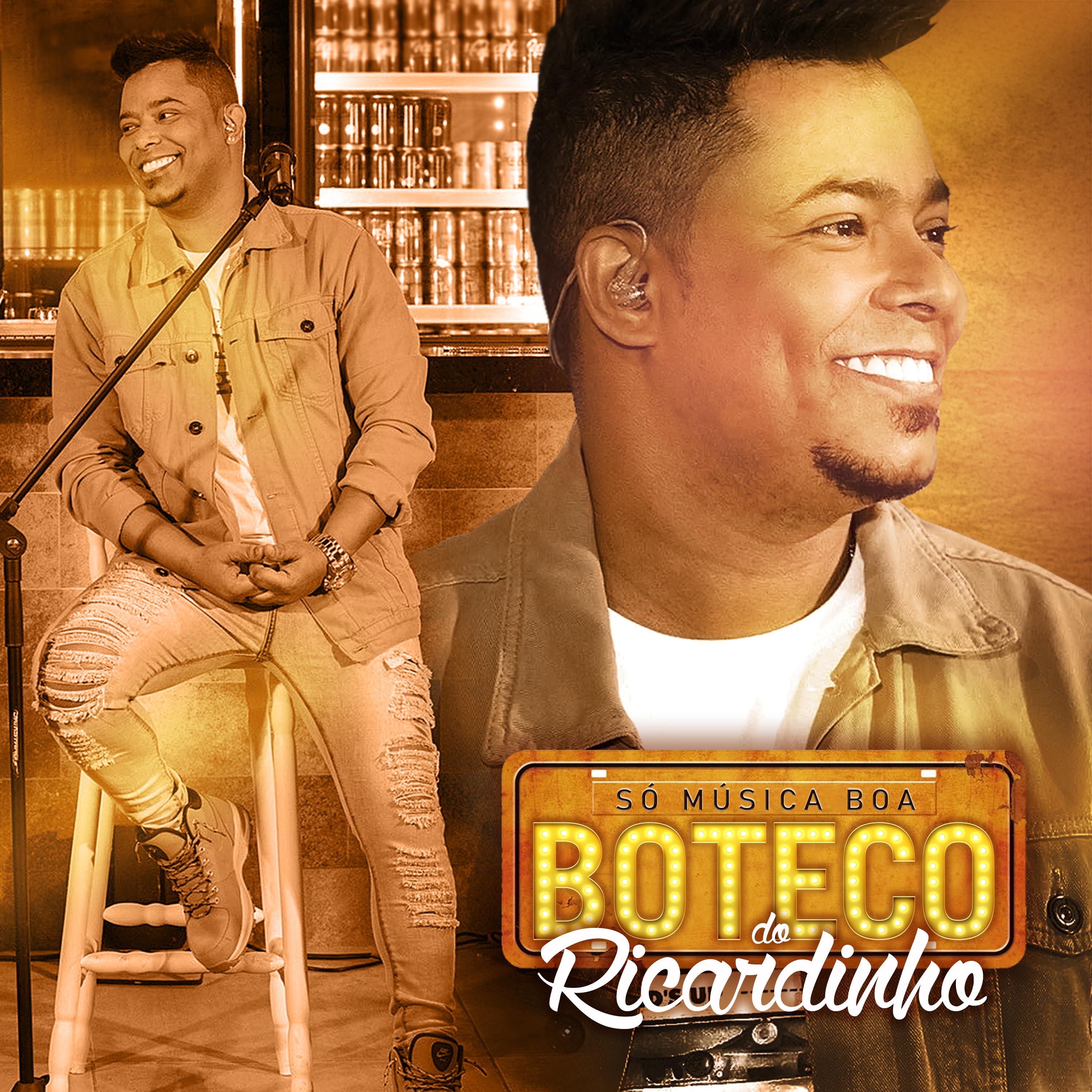 Постер альбома Boteco do Ricardinho (Só Música Boa)