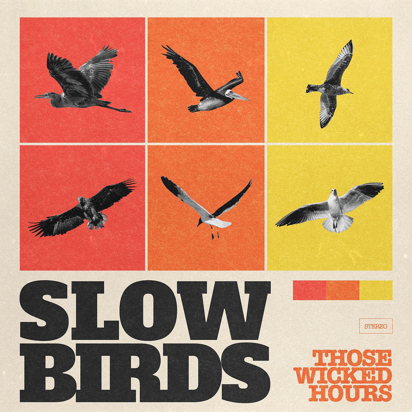 Постер альбома Slow Birds