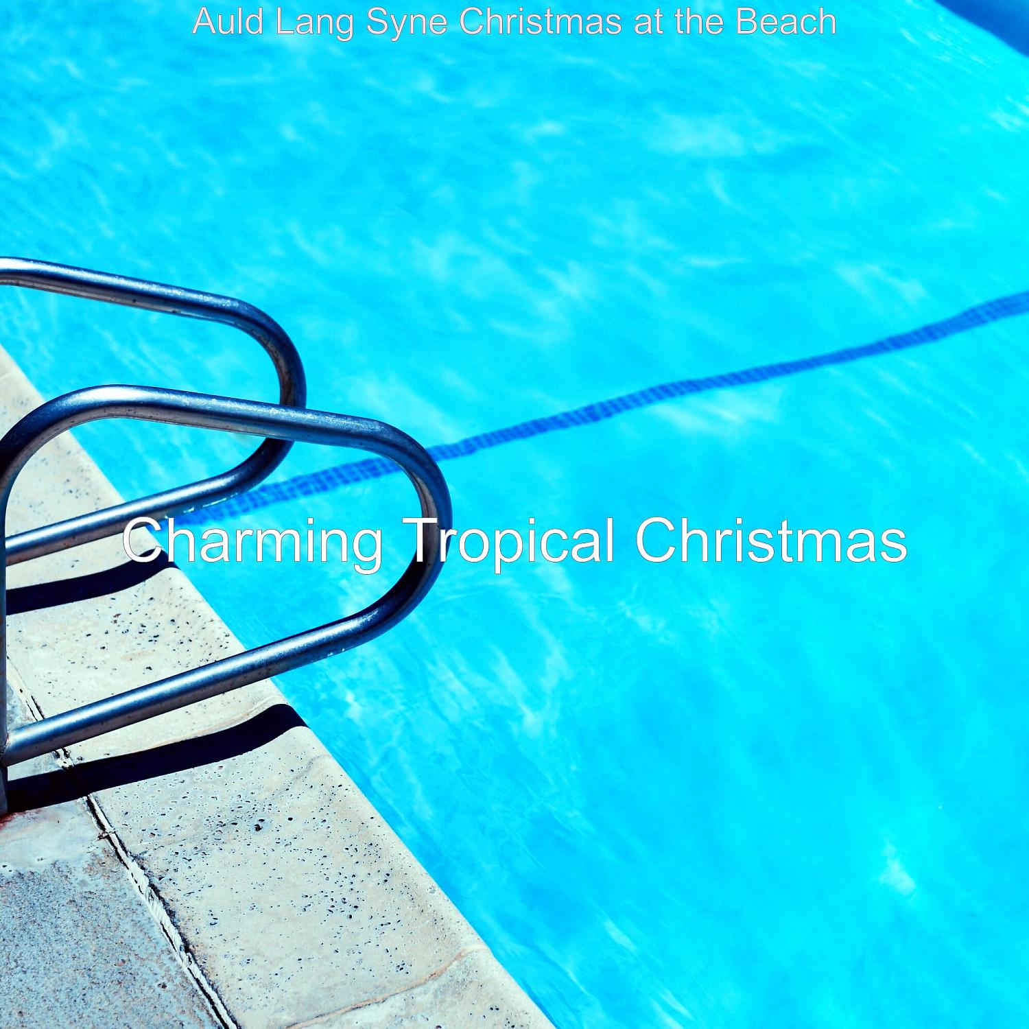 Постер альбома Auld Lang Syne Christmas at the Beach
