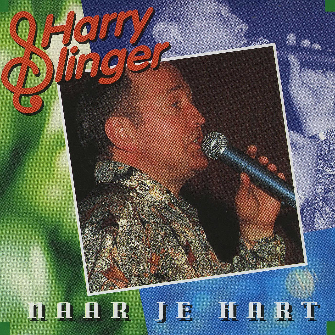 Постер альбома Naar Je Hart