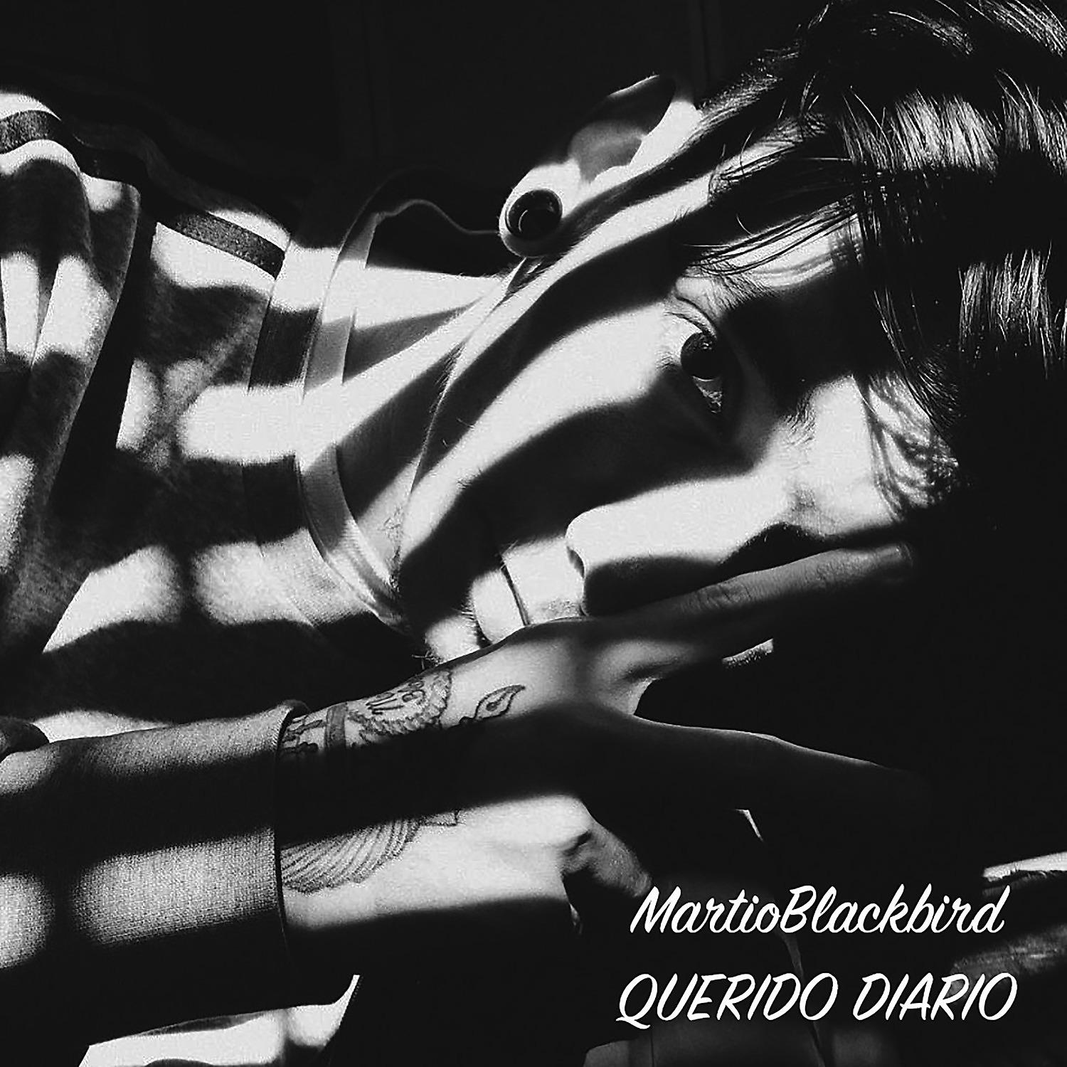 Постер альбома Querido diario