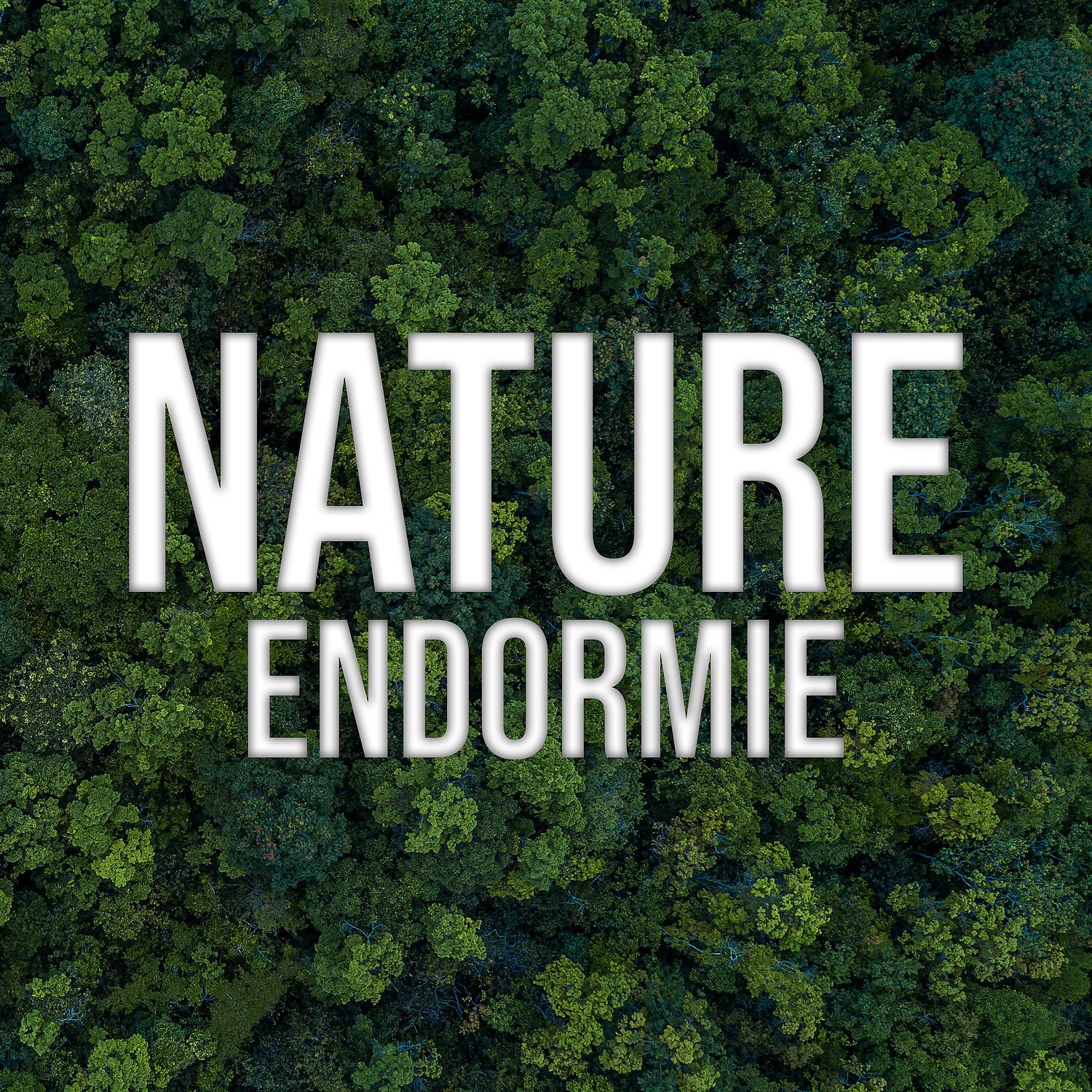 Постер альбома Nature endormie: Musique de relaxation nocturne, Sons de la nature endormie, Temps de soulagement
