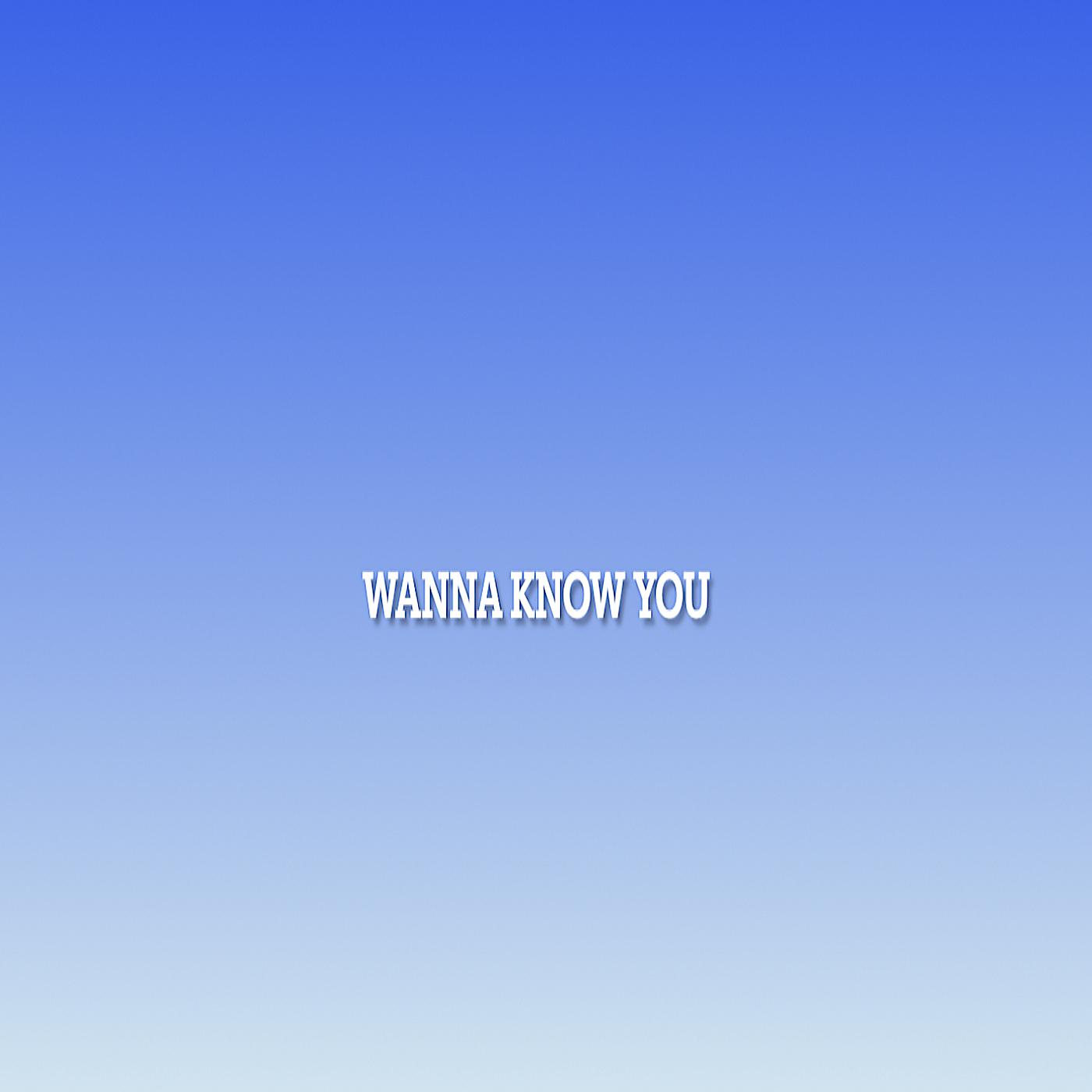 Постер альбома Wanna Know You