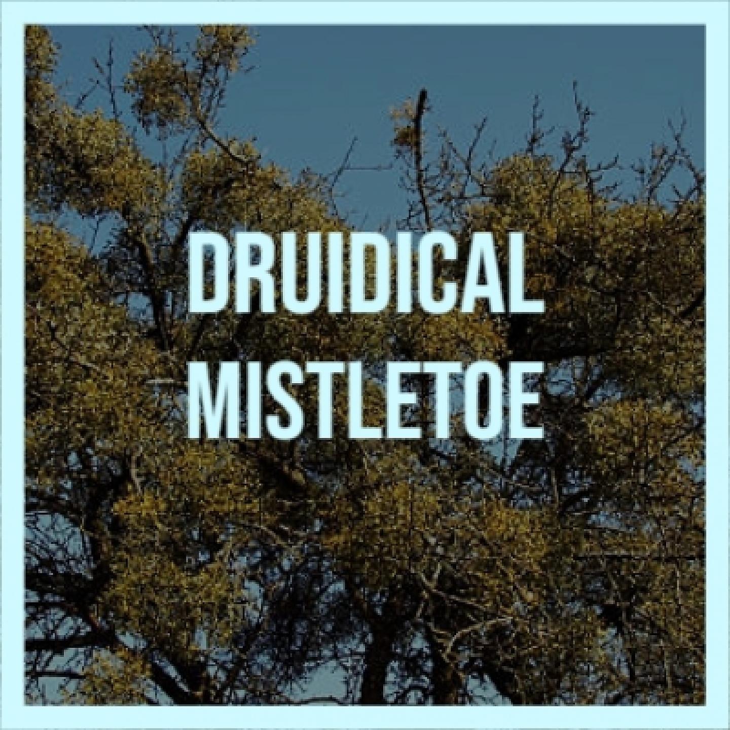 Постер альбома Druidical Mistletoe