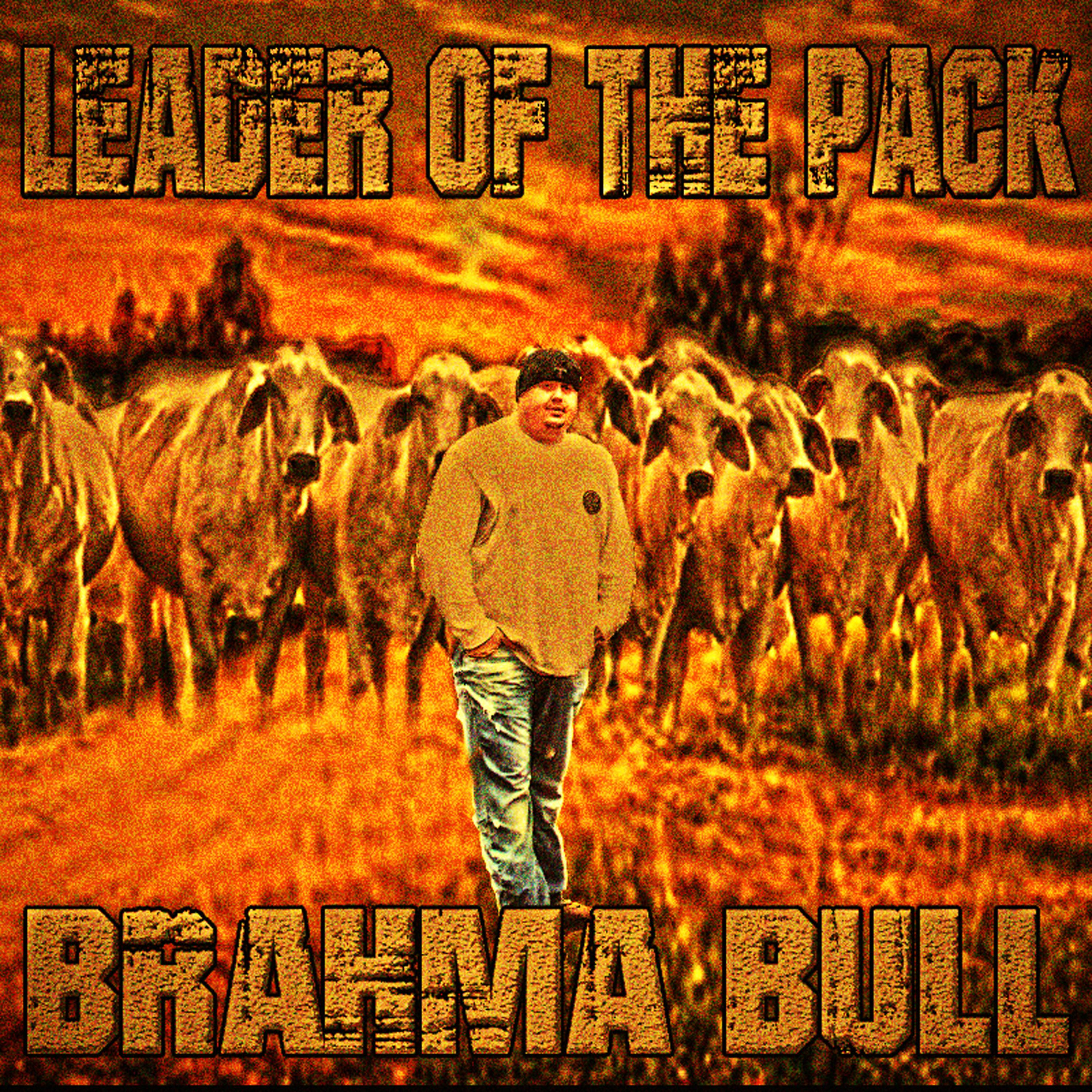 Постер альбома Leader of the Pack
