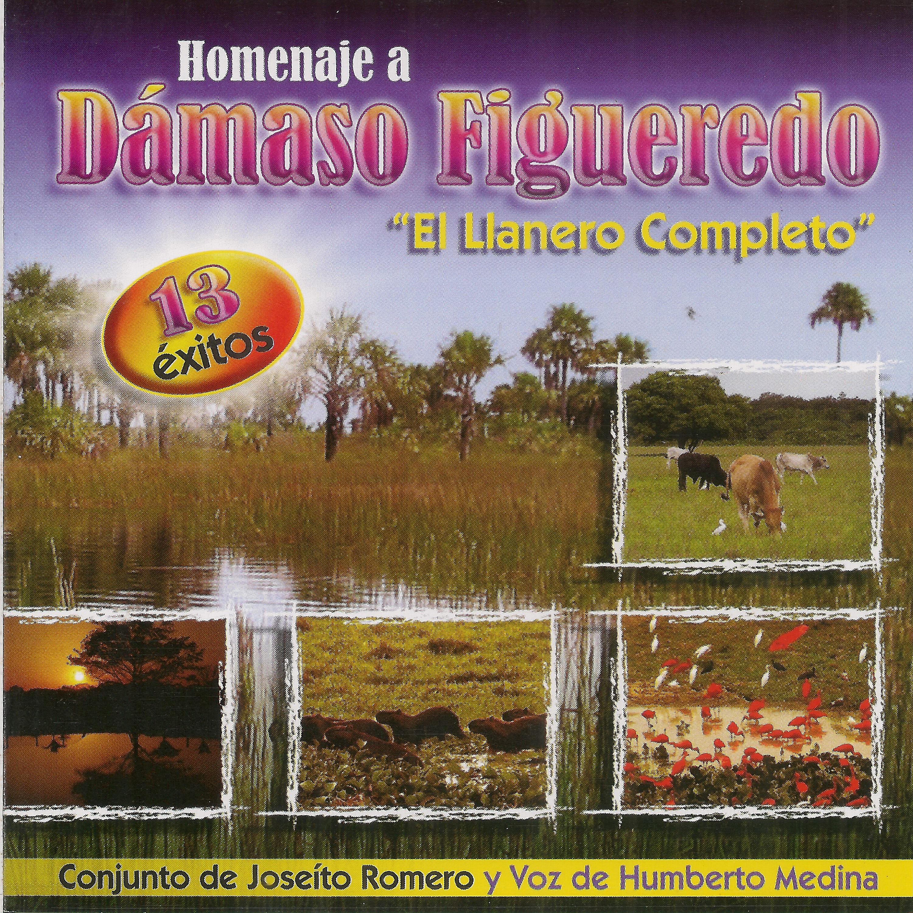 Постер альбома Homenaje a Dámaso Figueredo: El Llanero Completo