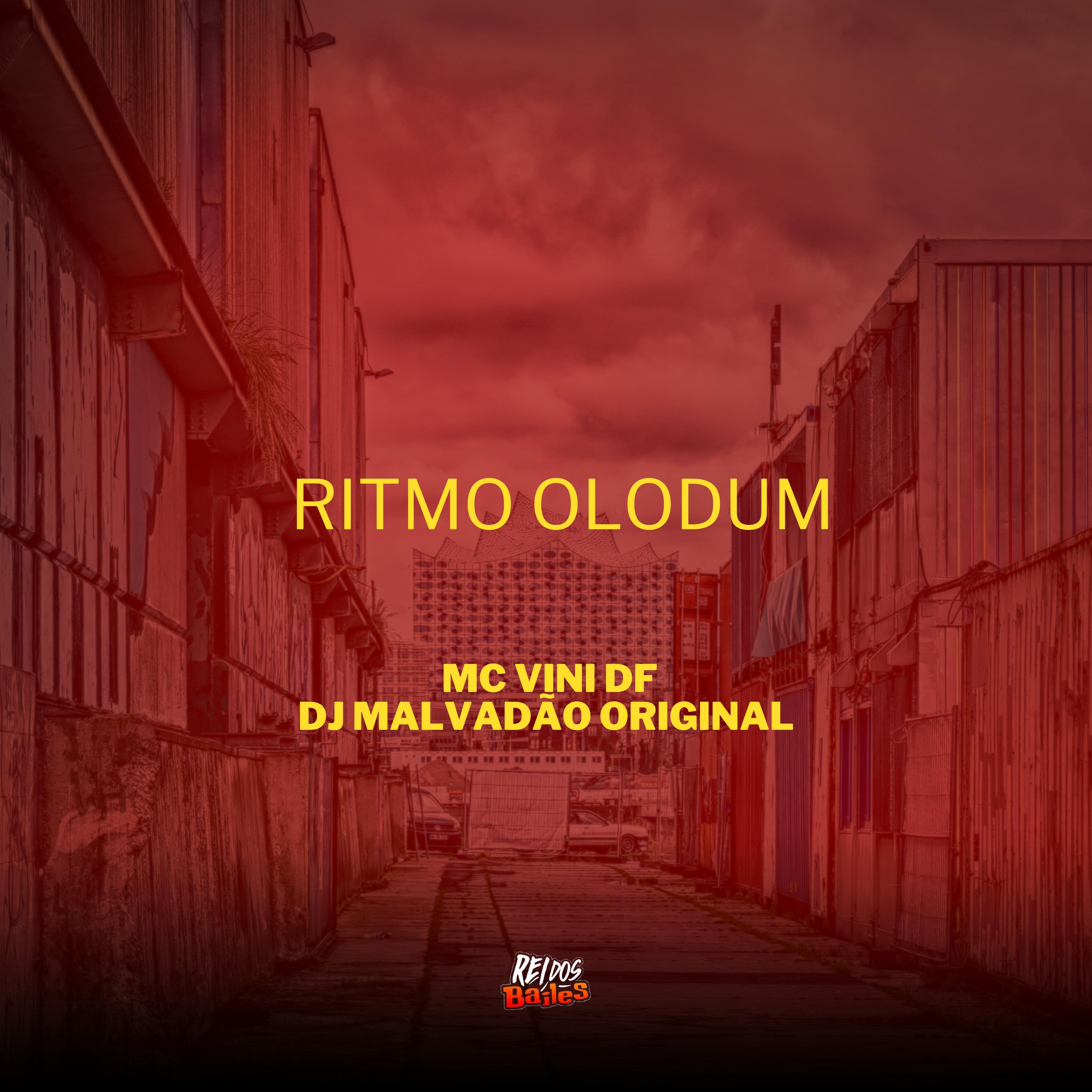 Постер альбома Ritmo Olodum