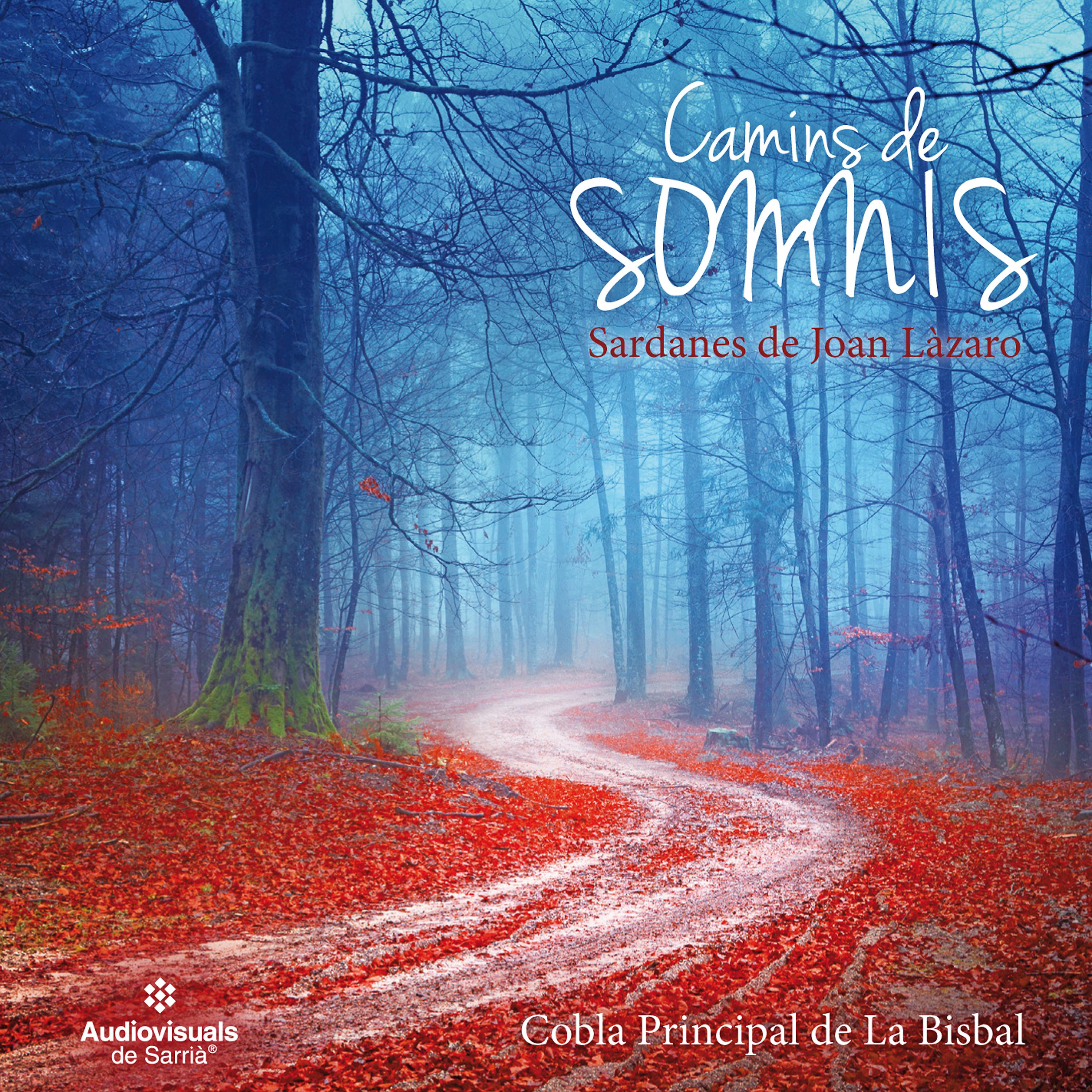 Постер альбома Camins de Somnis. Sardanes de Joan Lázaro