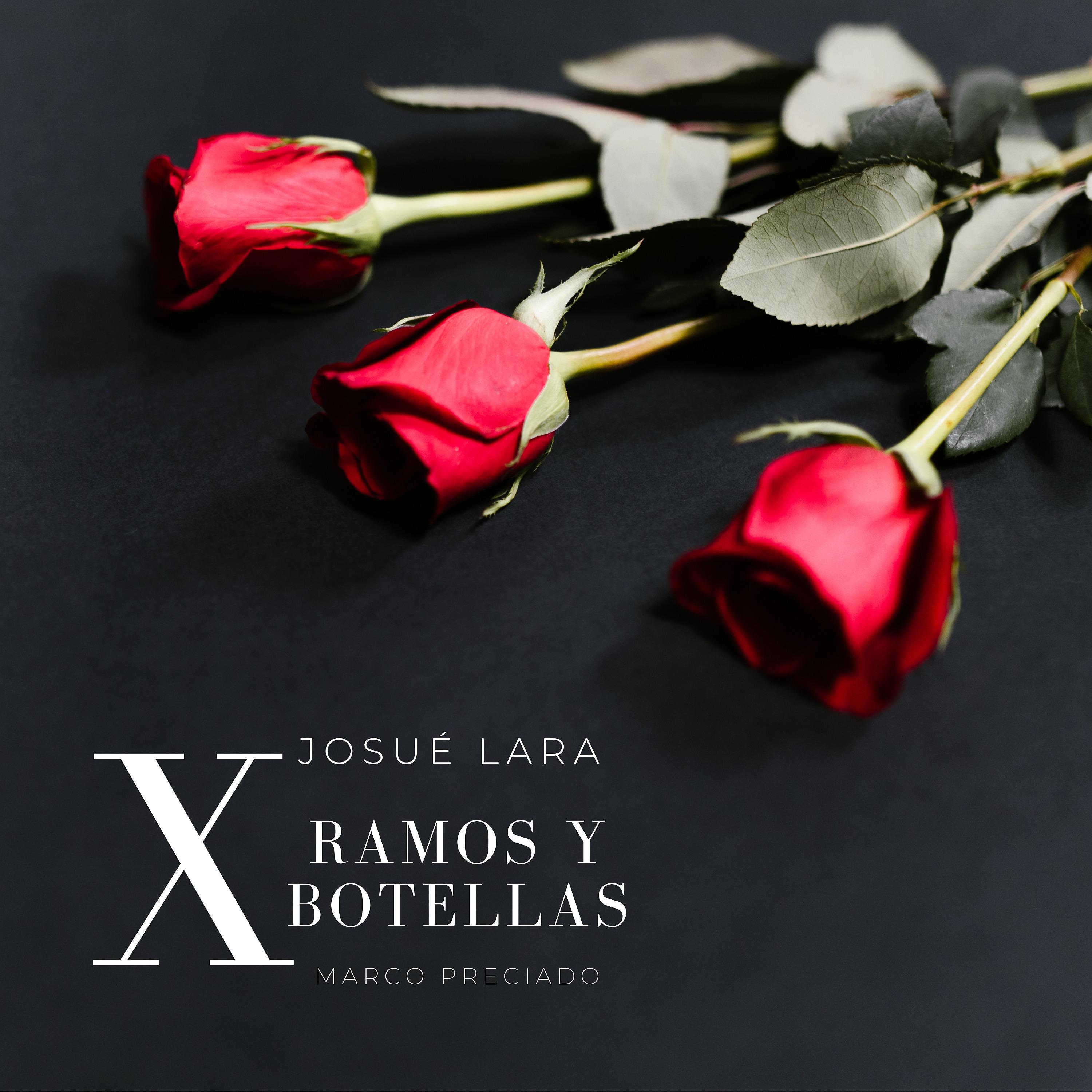Постер альбома Ramos y Botellas