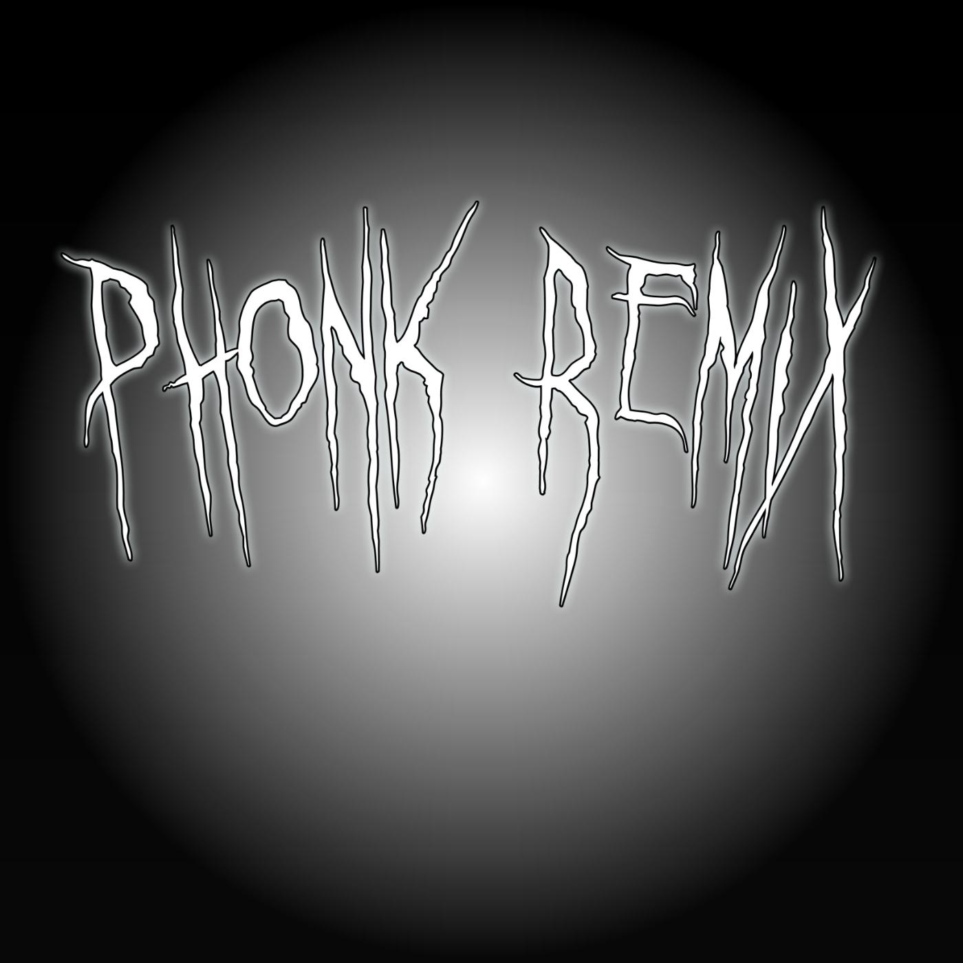 Постер альбома Phonk Remix