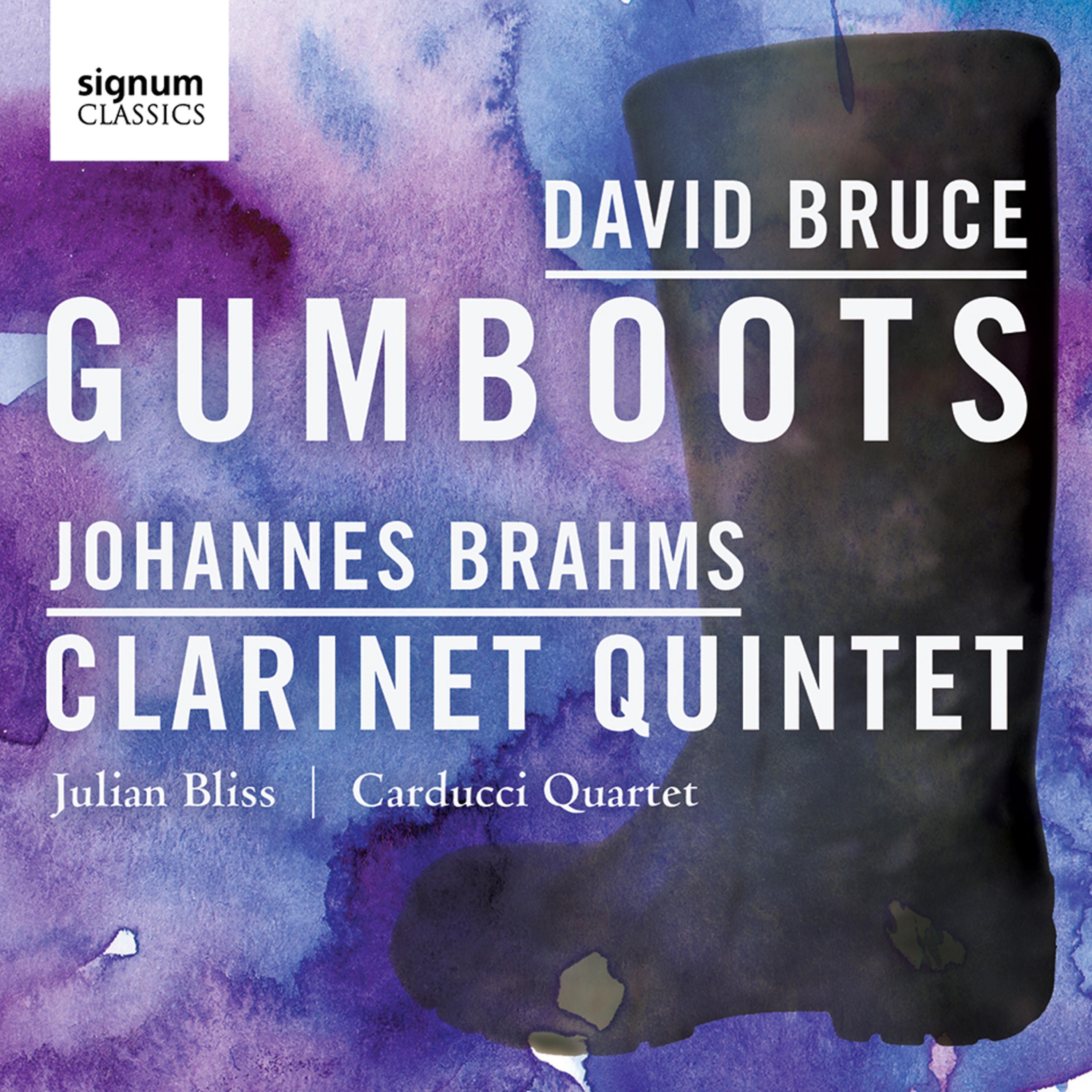 Постер альбома David Bruce: Gumboots – Johannes Brahms: Clarinet Quintet