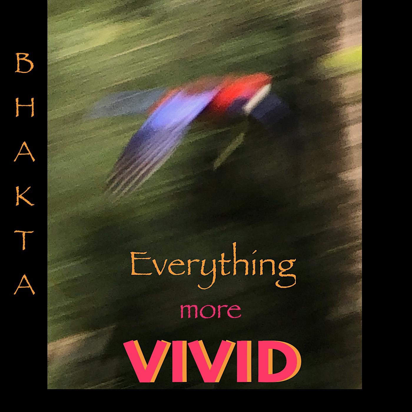 Постер альбома Everything More Vivid