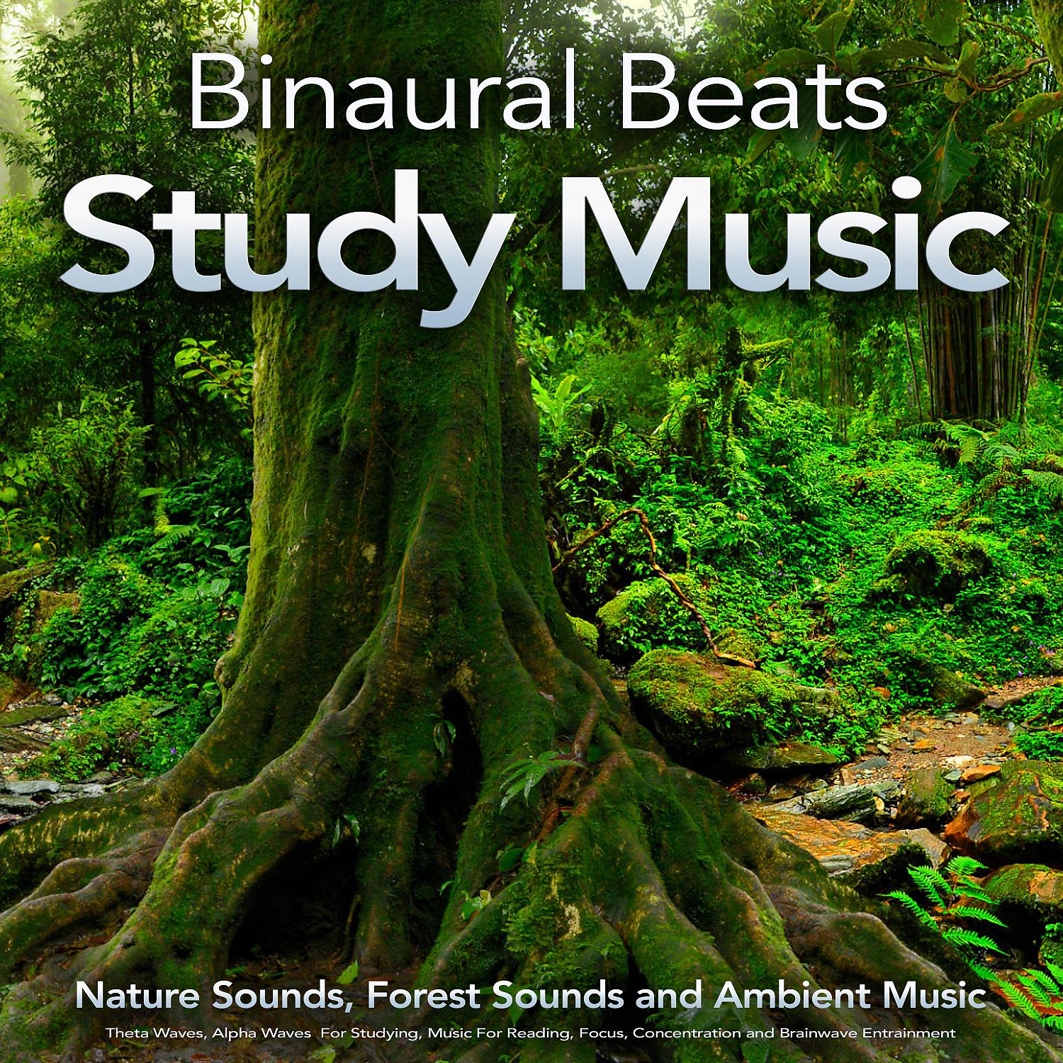 Постер альбома Binaural Beats Study Music: Nature Sounds, Forest Sounds and Ambient Music, Theta Waves, Alpha Waves  For Studying, Music For Reading, Focus, Concentration and Brainwave Entrainment