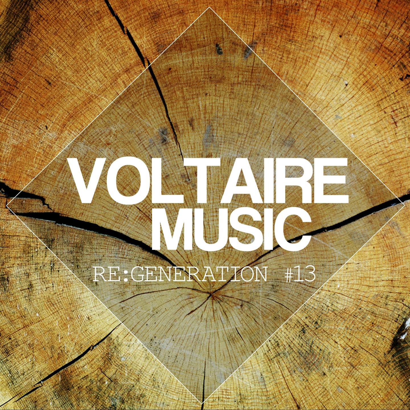Постер альбома Voltaire Music Pres. Re:Generation, Vol. 13