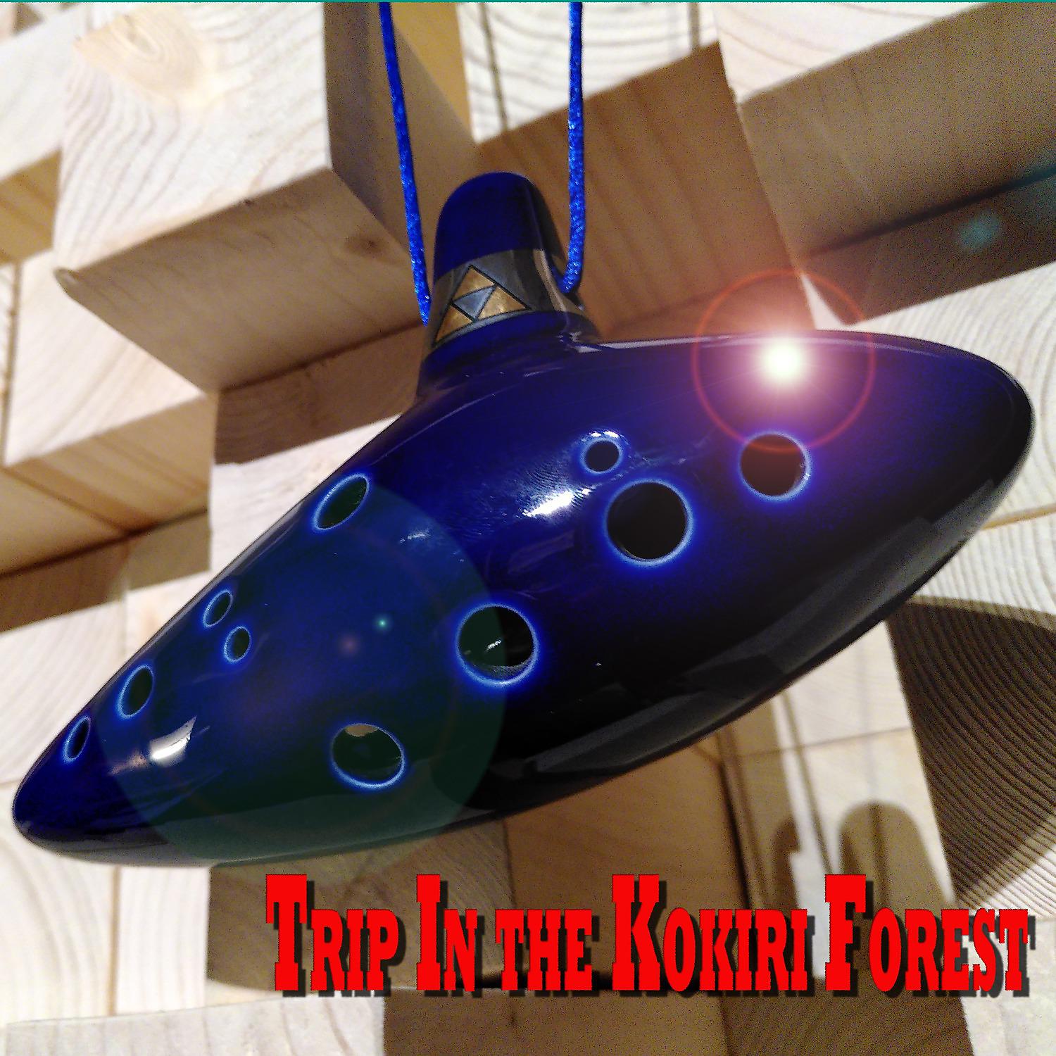 Постер альбома Trip in the Kokiri Forest