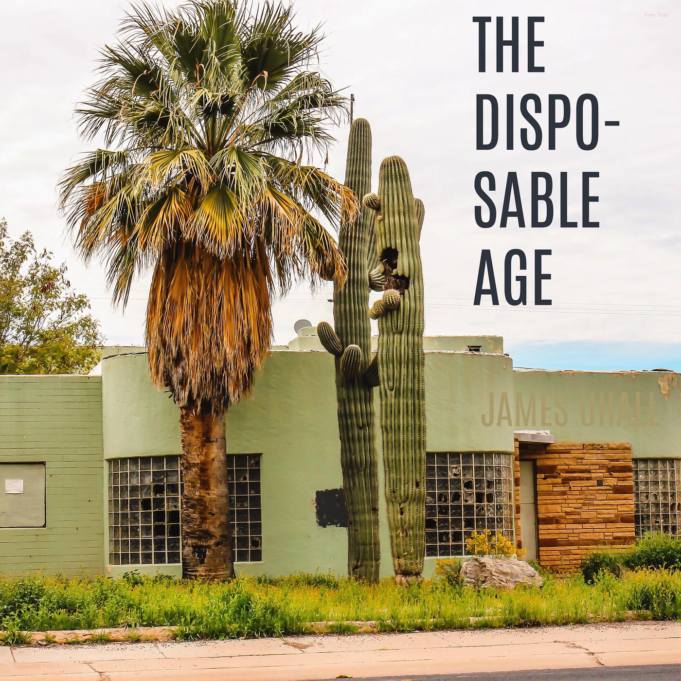 Постер альбома The Disposable Age