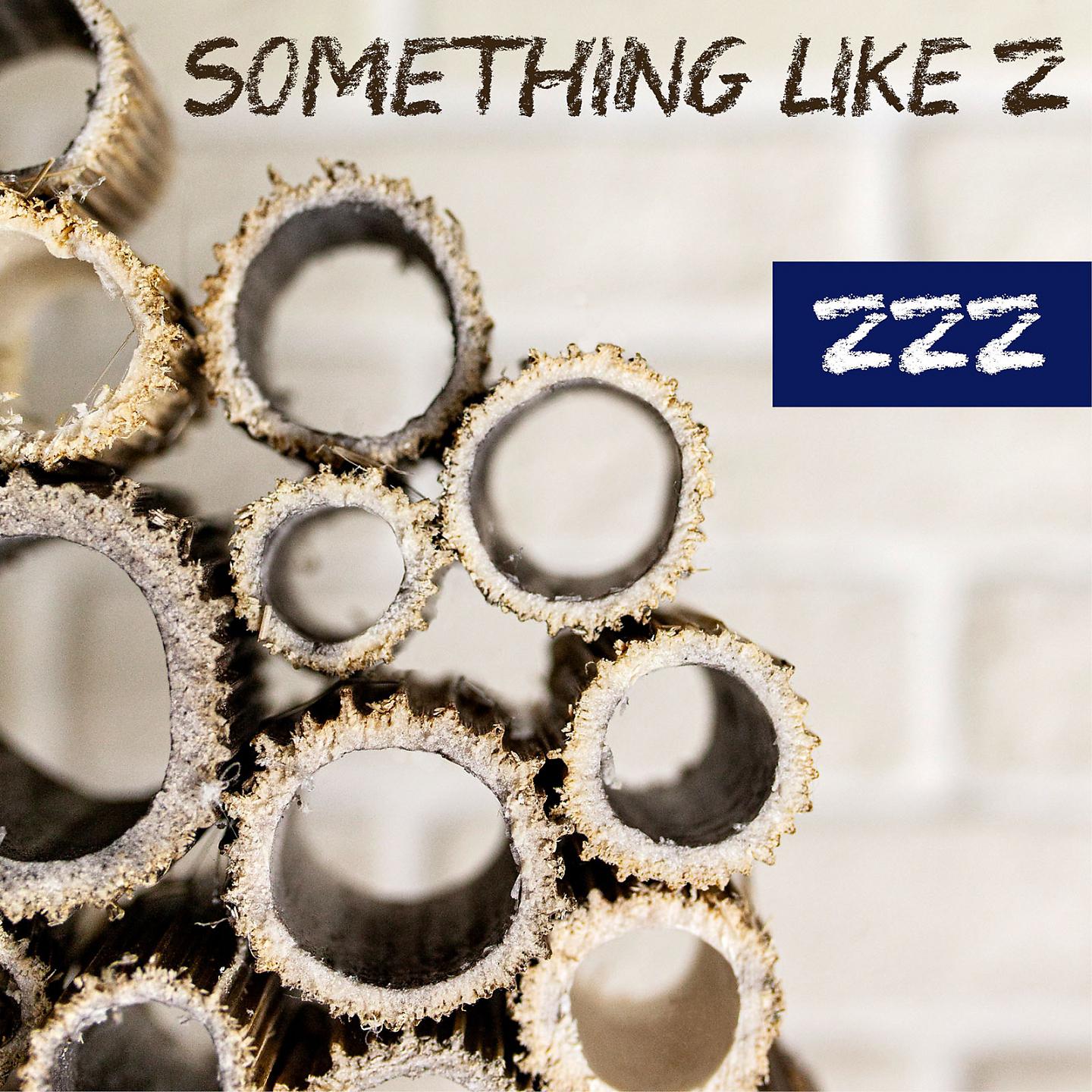 Постер альбома Zzz