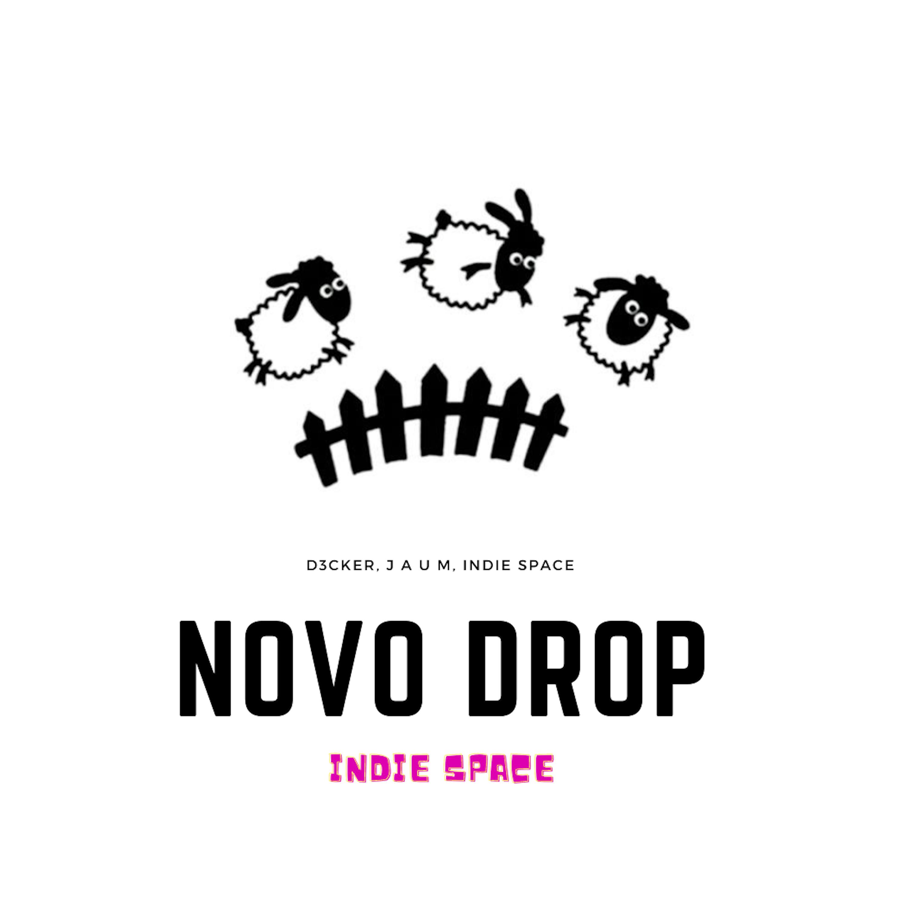 Постер альбома Novo Drop