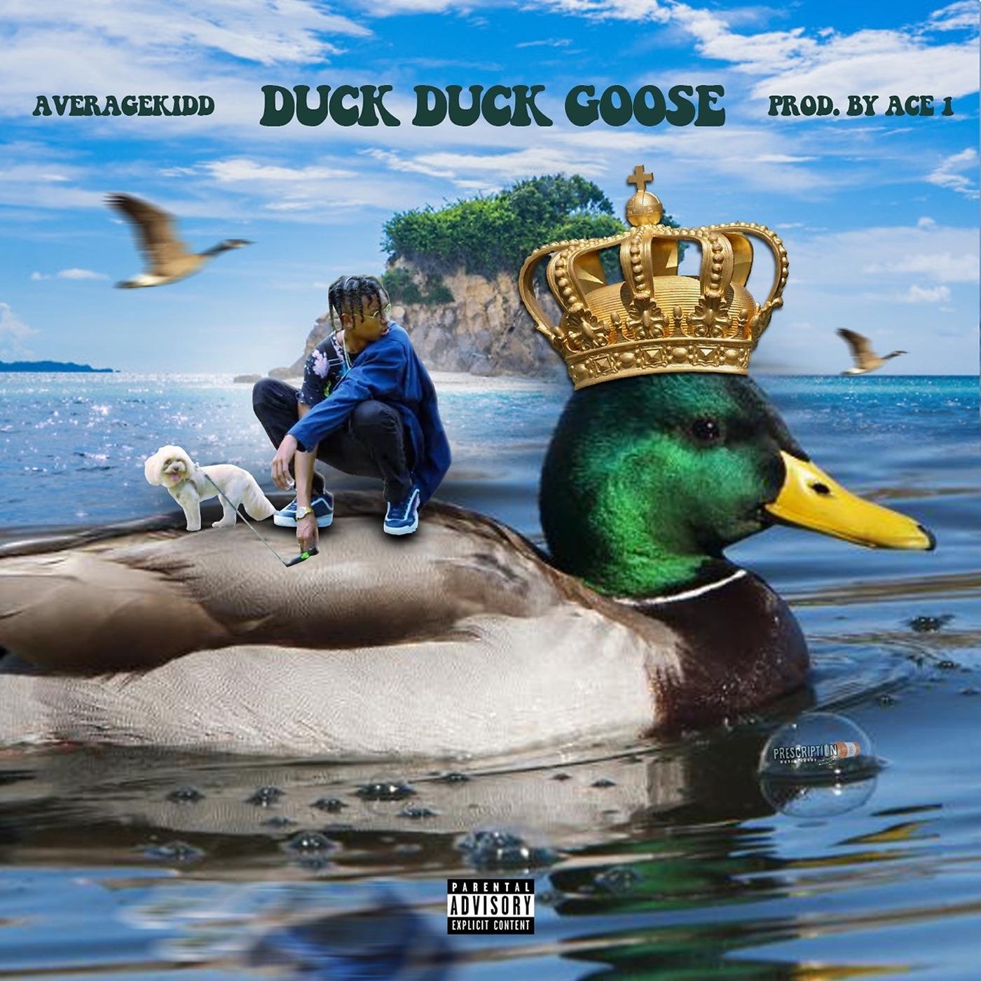 Постер альбома Duck Duck Goose!