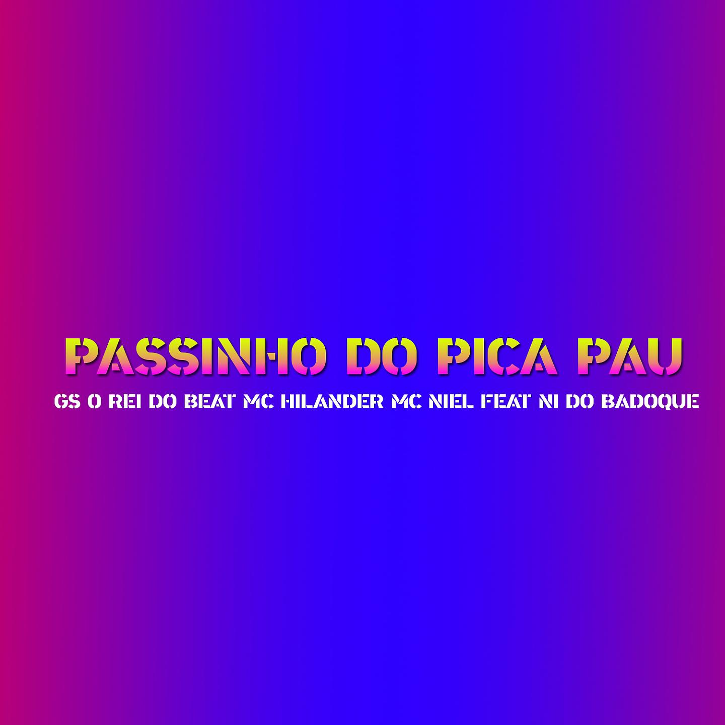 Постер альбома Passinho do Pica Pau