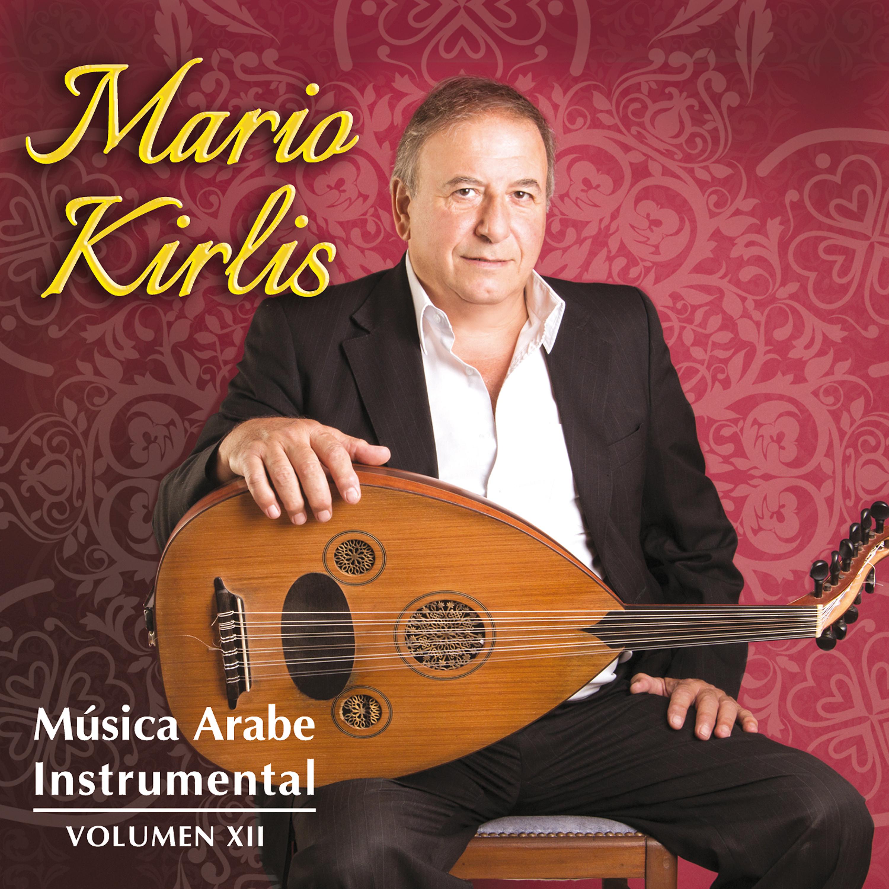 Постер альбома Música Arabe Instrumental, Vol. XII