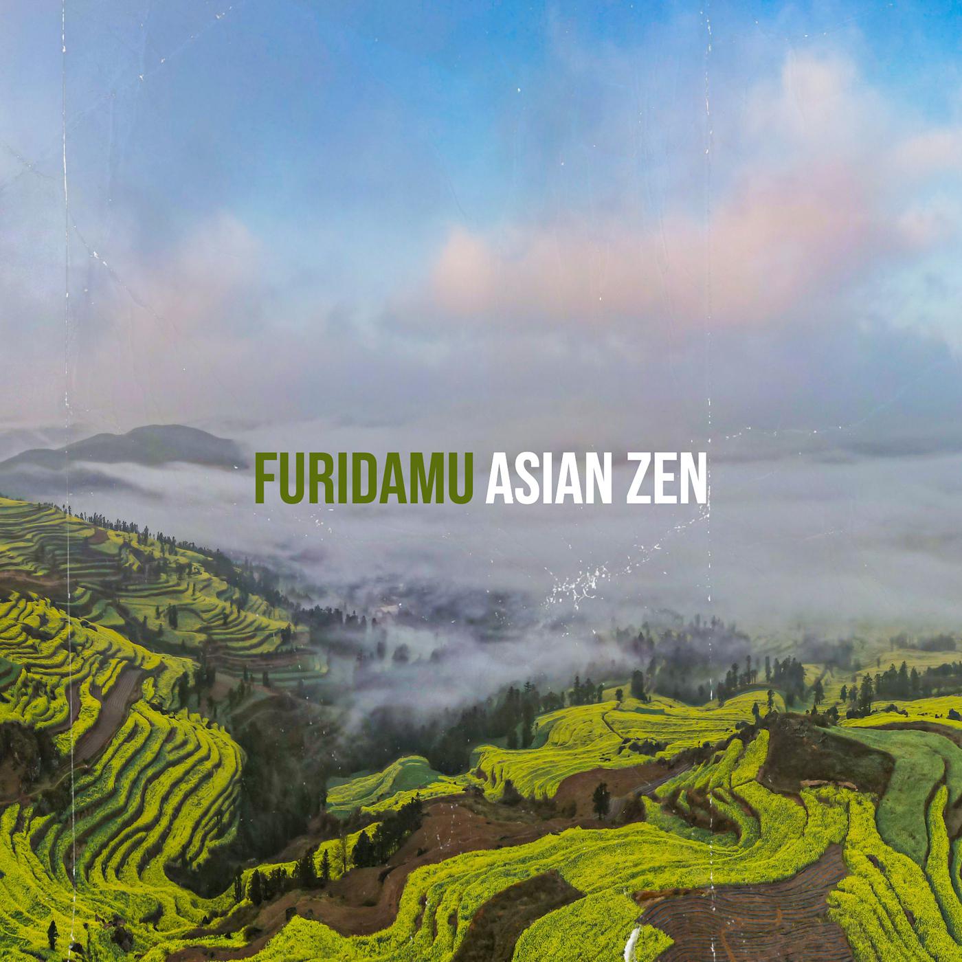 Постер альбома Furidamu