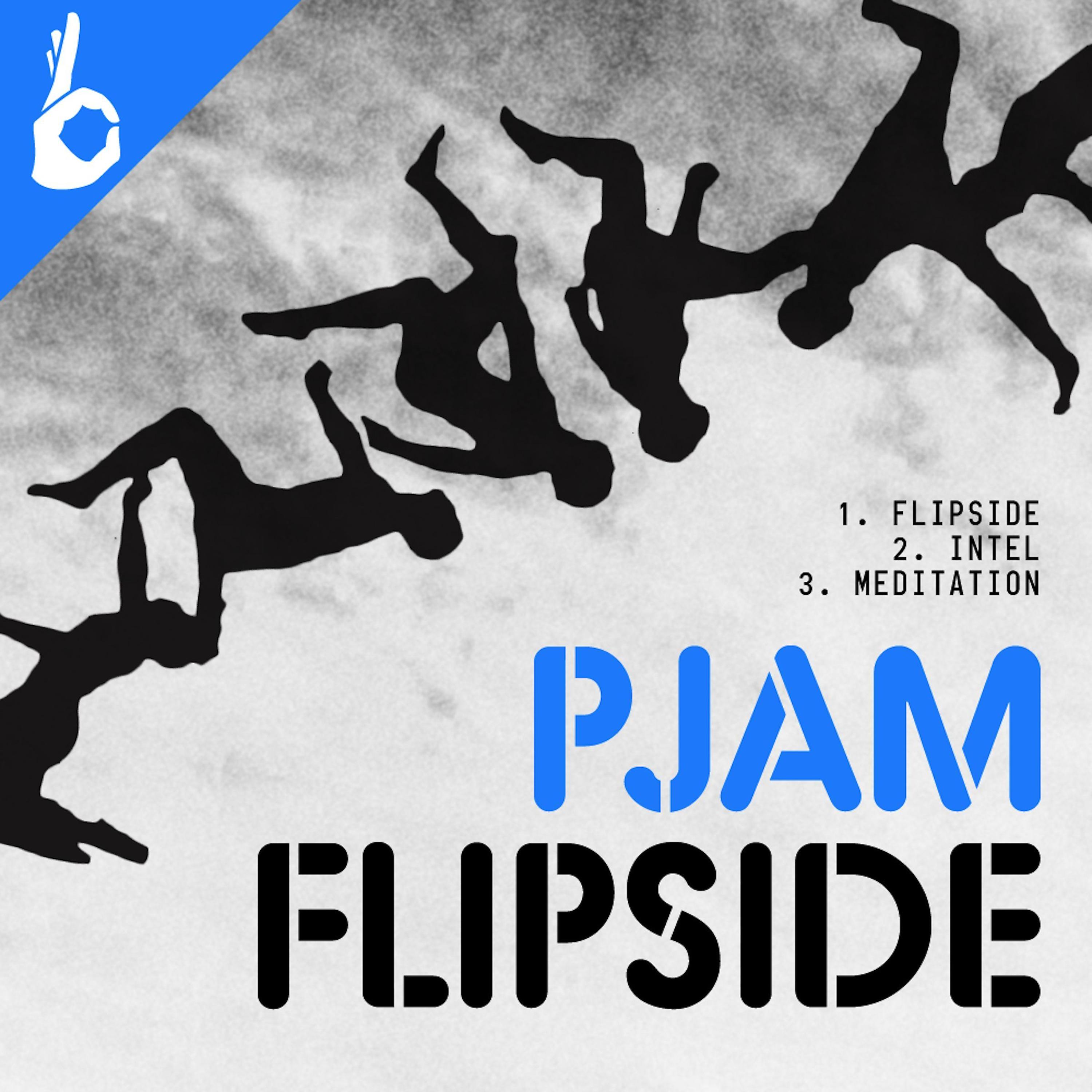 Постер альбома Flipside