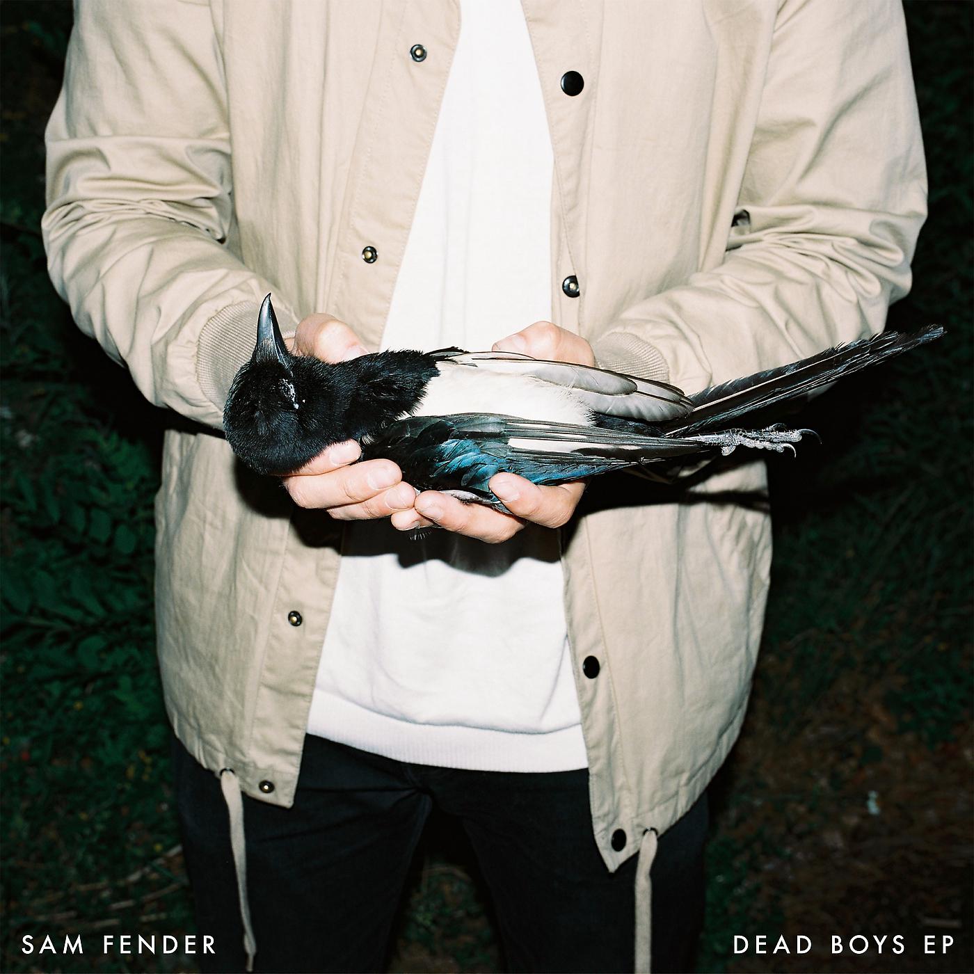 Постер альбома Dead Boys - EP