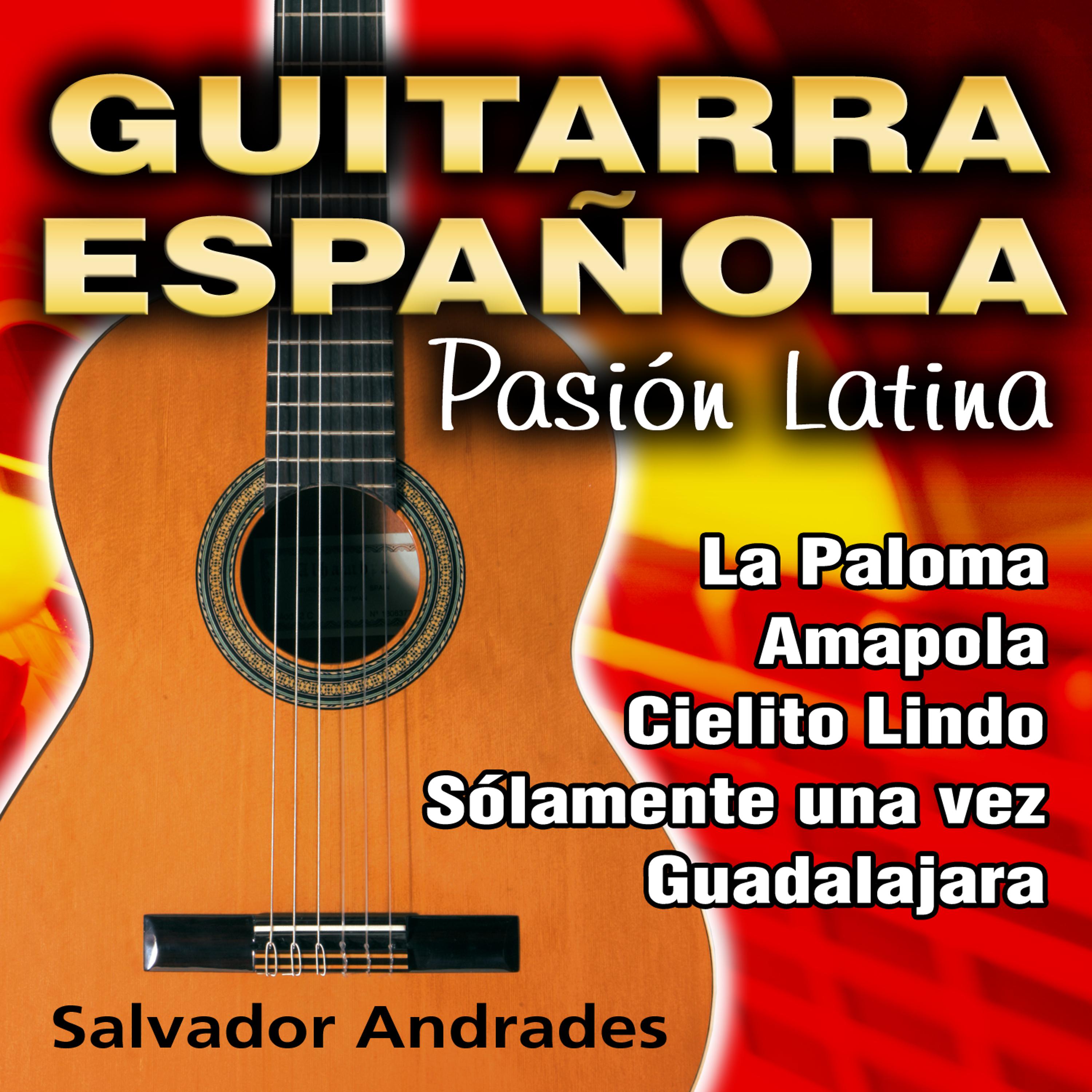 Постер альбома Guitarra Española - Pasión Latina