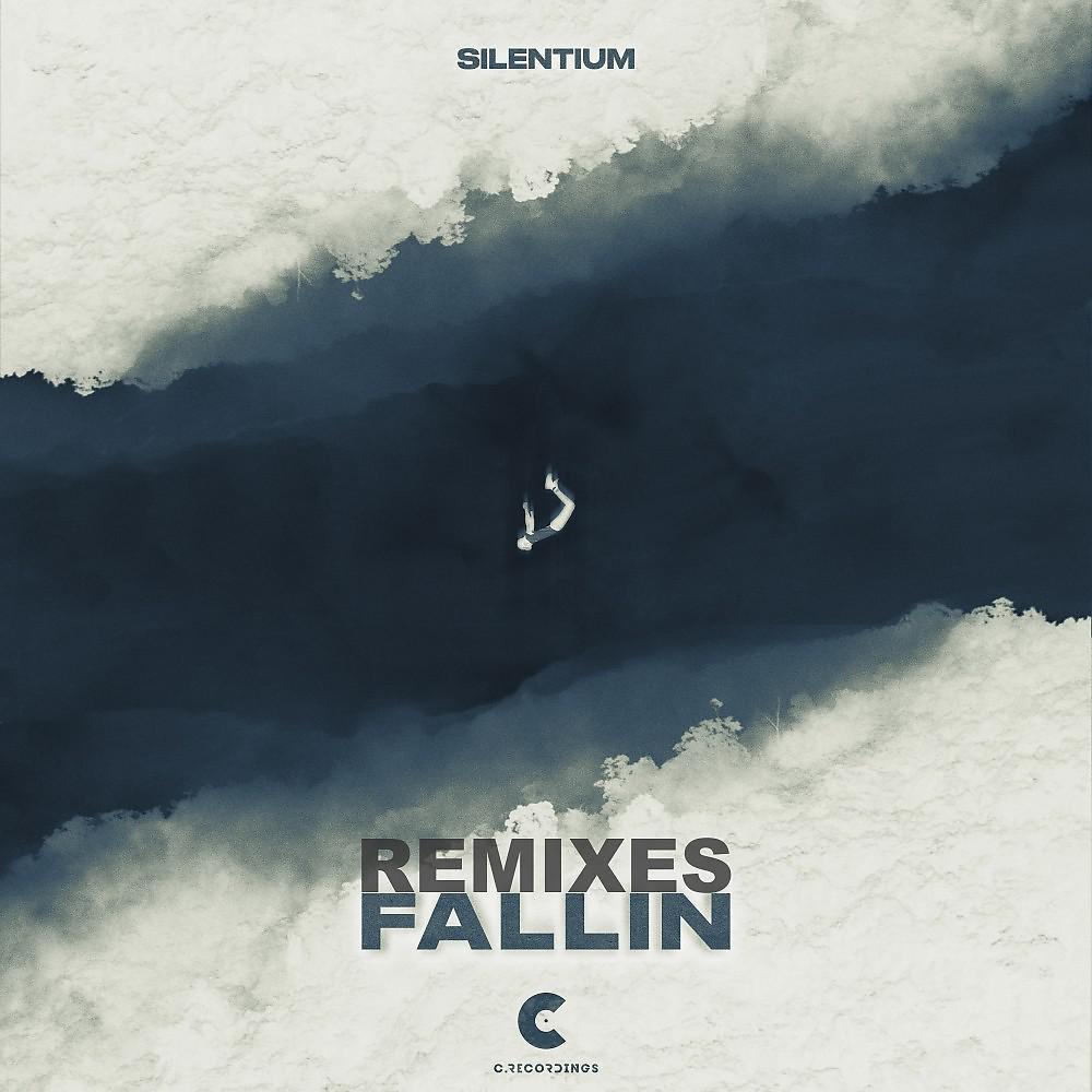 Постер альбома Fallin Remixes
