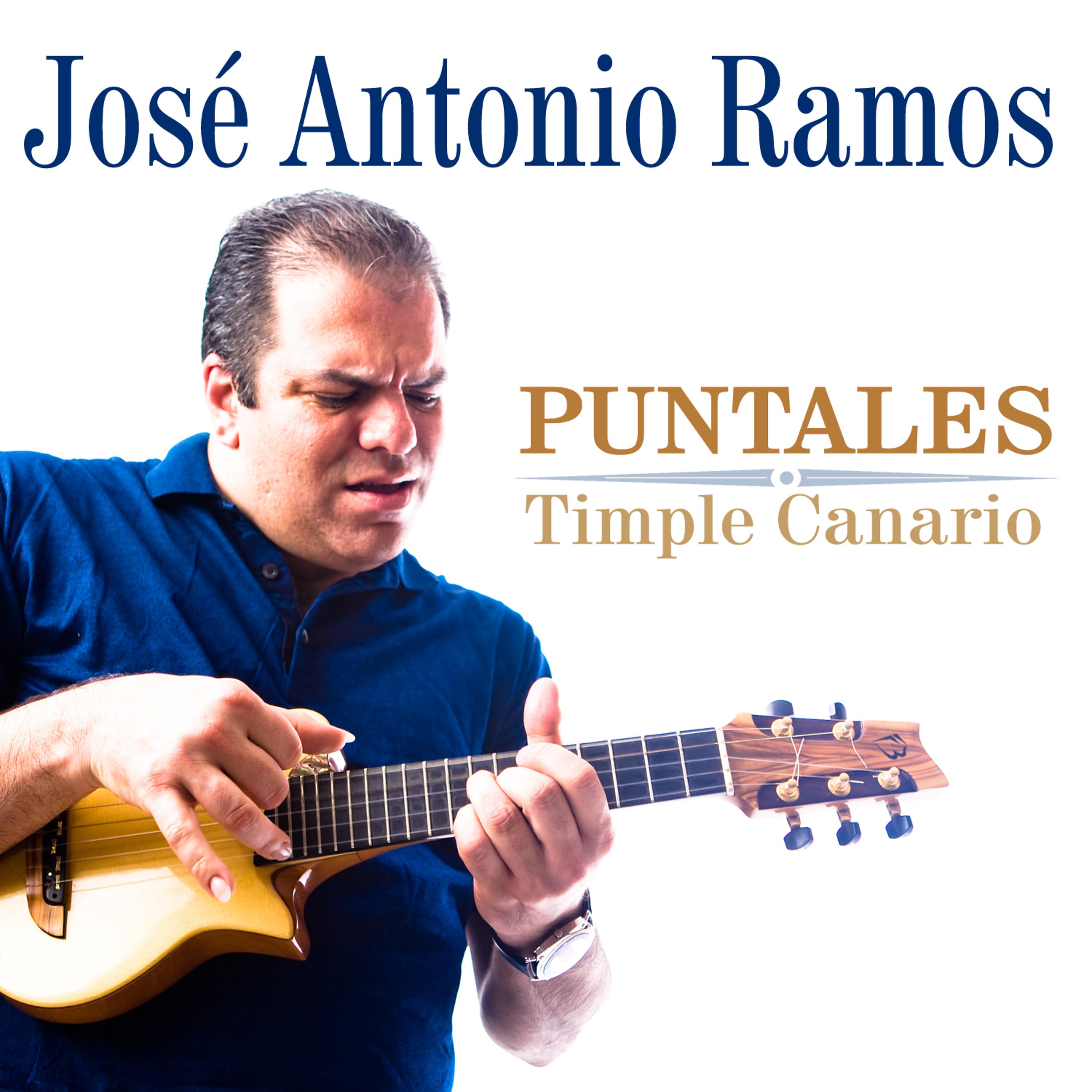 Постер альбома Puntales. Timple Canario
