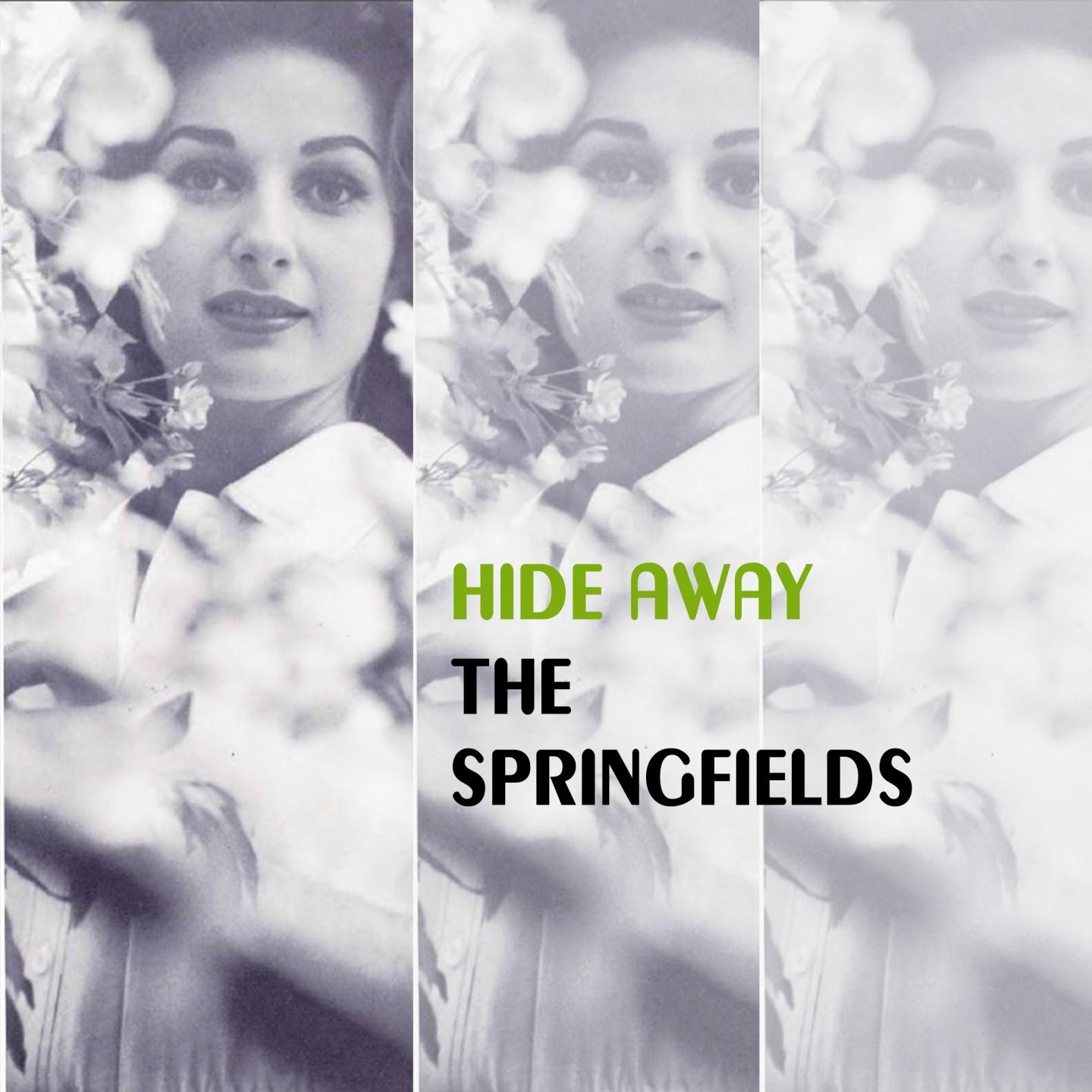 Постер альбома Hide Away