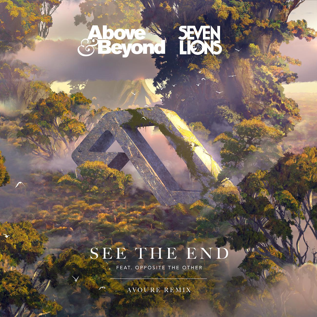 Постер альбома See The End (Avoure Remix)