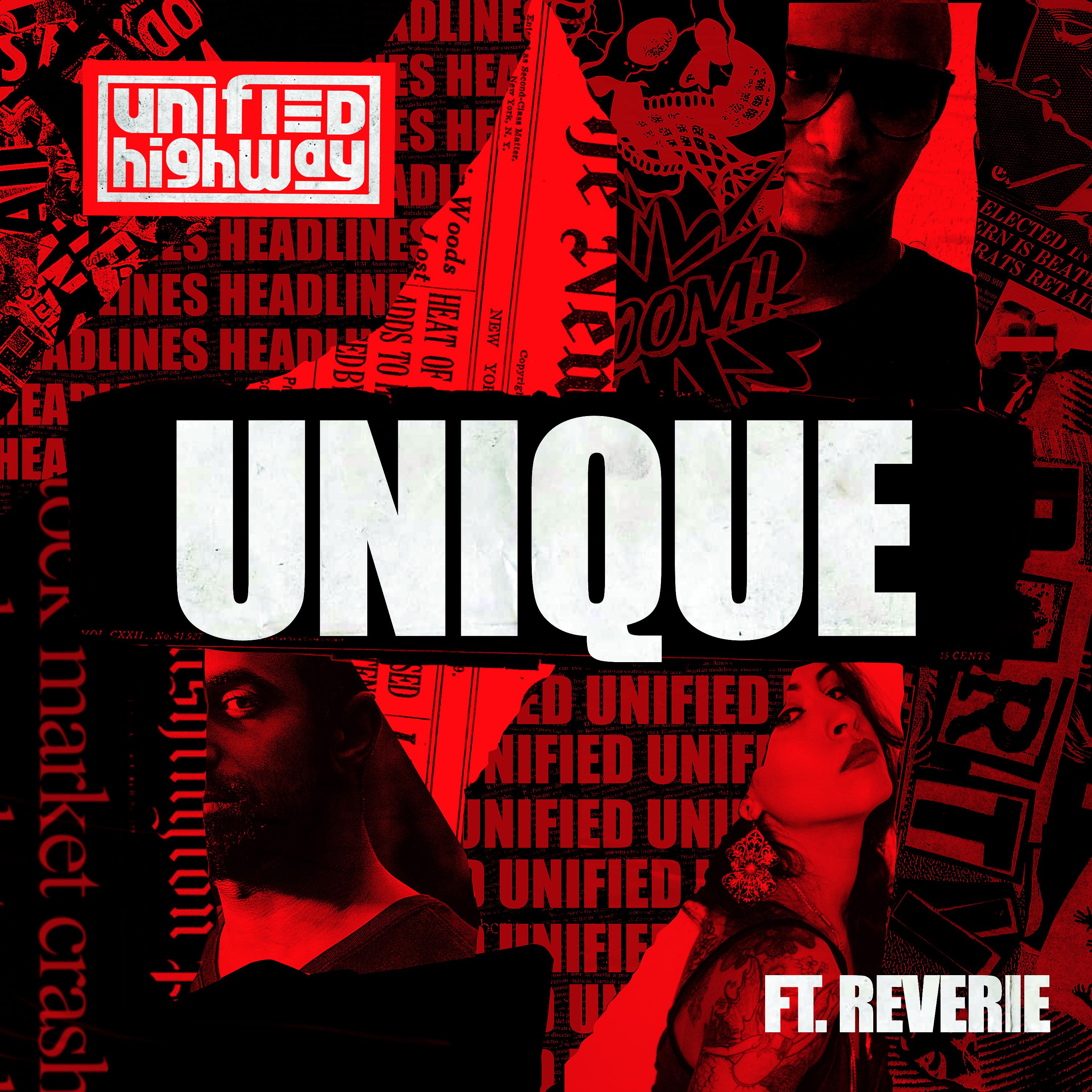 Постер альбома Unique (feat. Reverie)