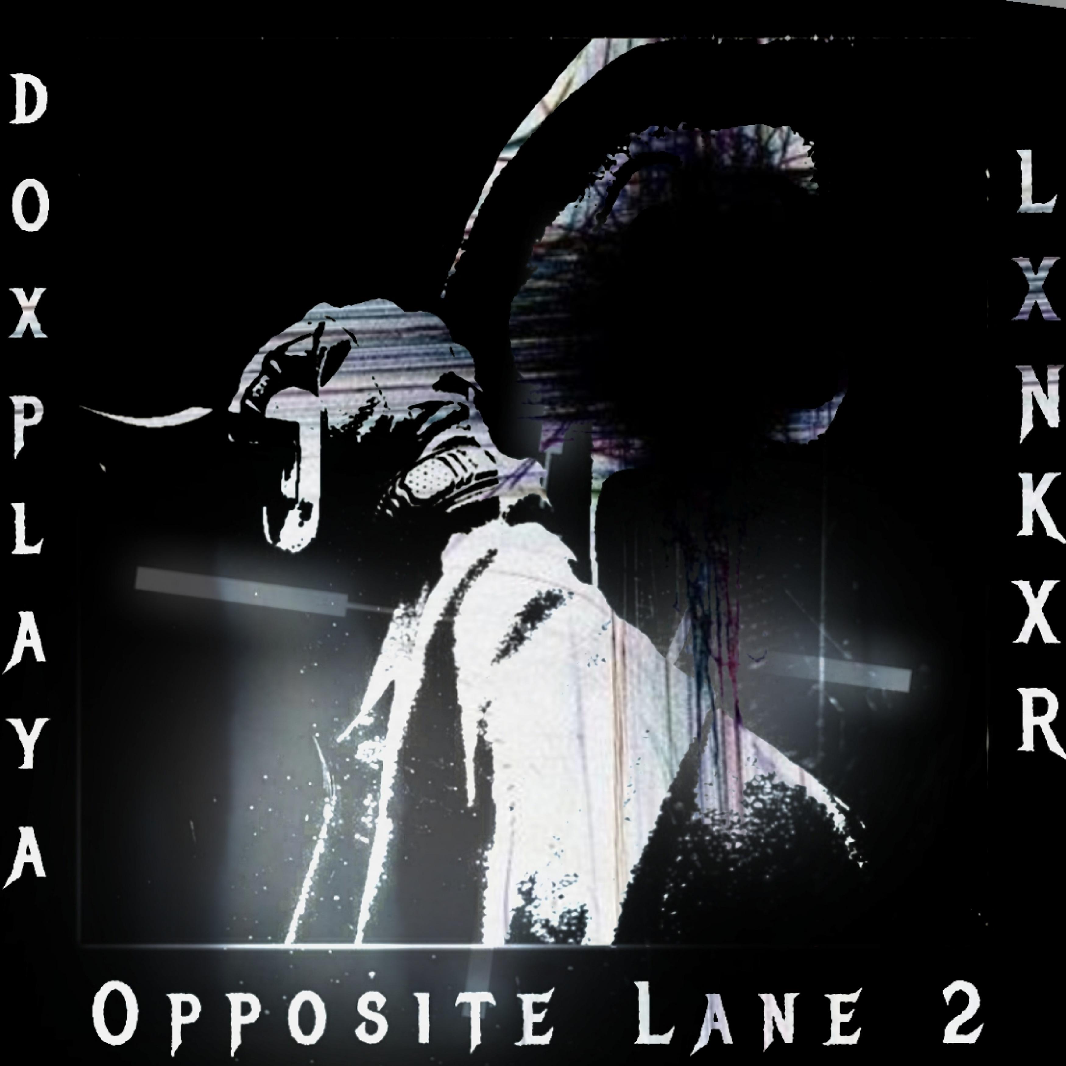 Постер альбома Opposite Lane 2