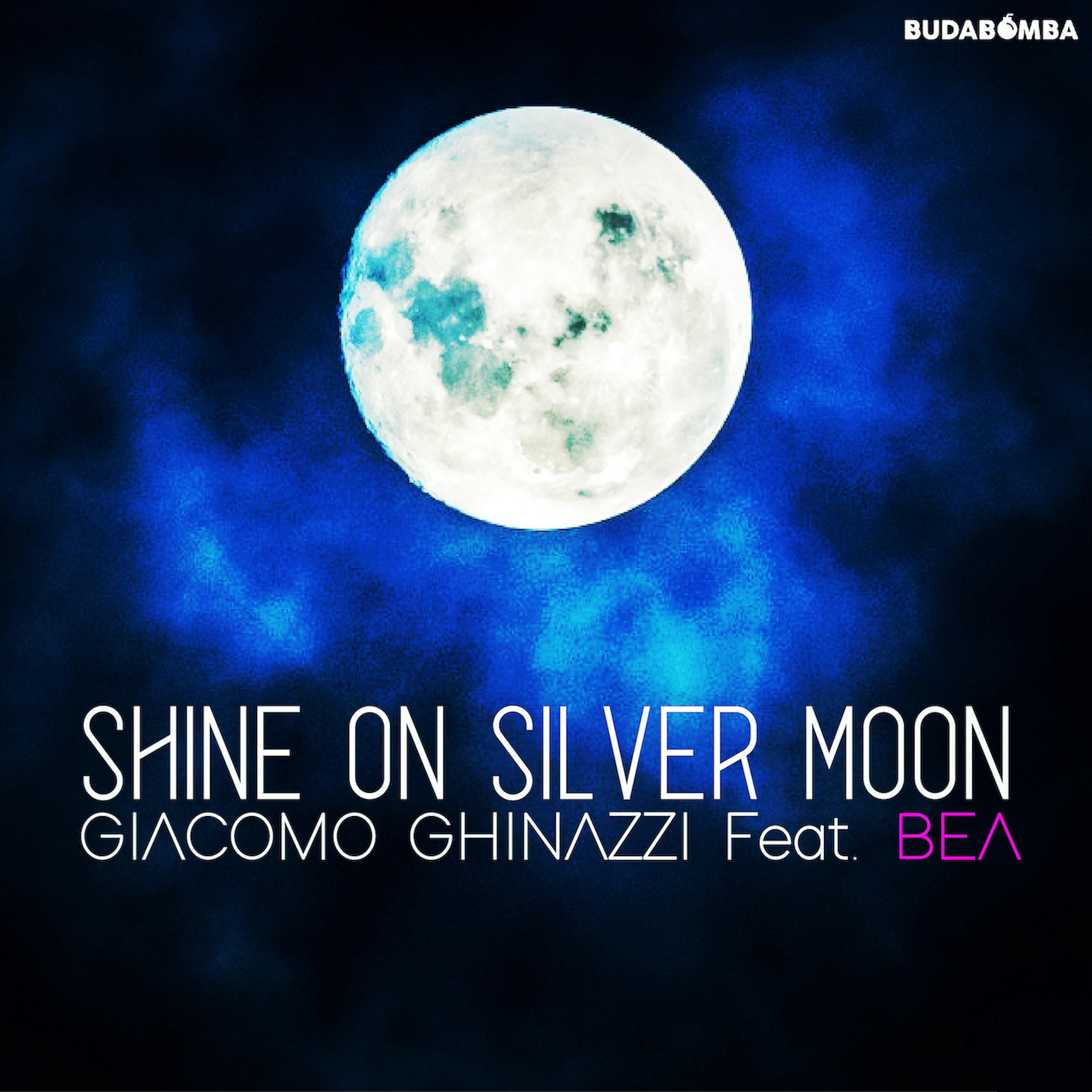 Постер альбома Shine On Silver Moon