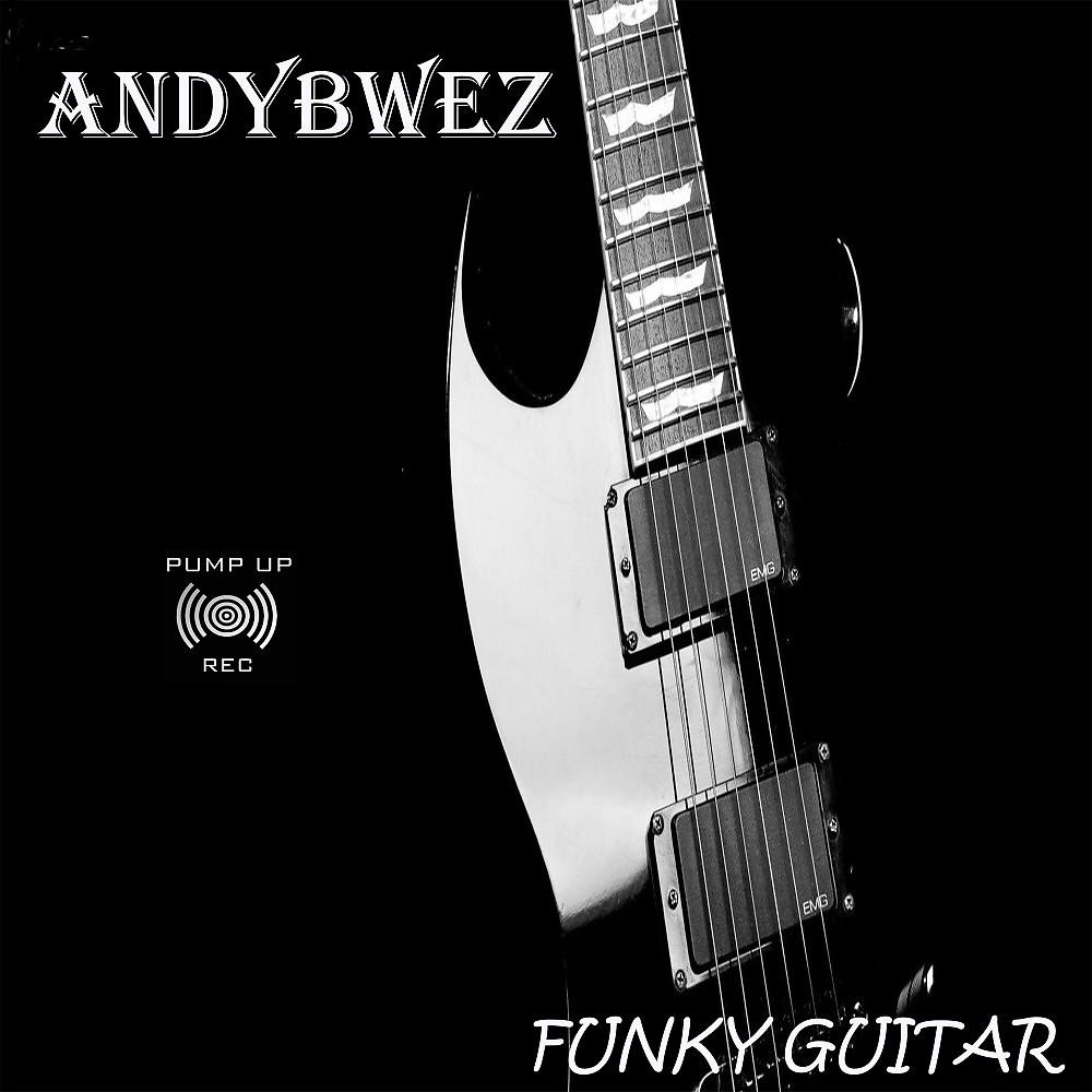 Постер альбома Funky Guitar