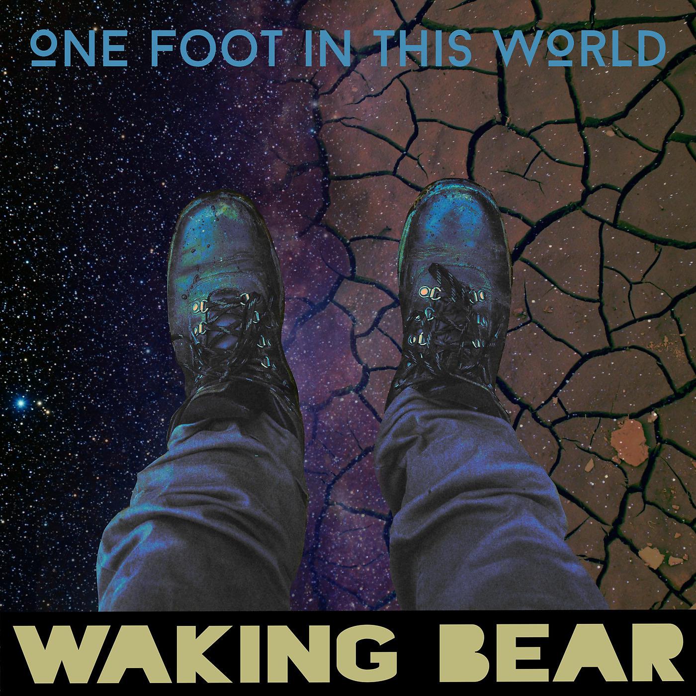 Постер альбома One Foot in This World