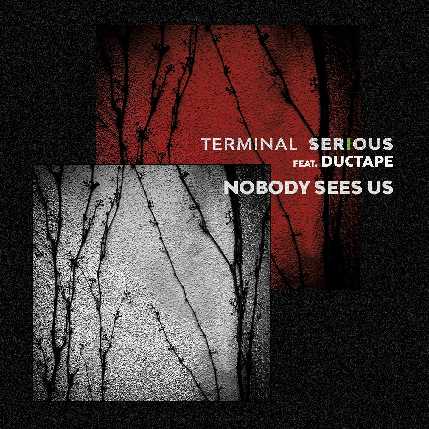 Постер альбома Nobody Sees Us