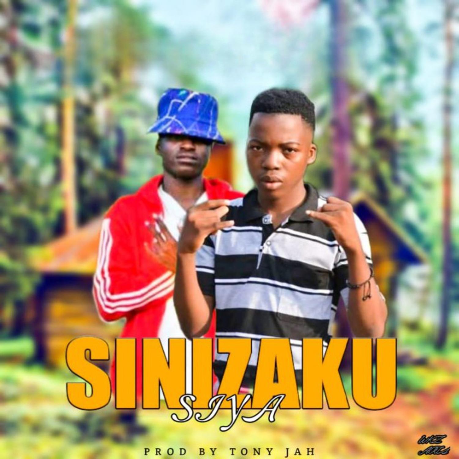 Постер альбома Sinizakusiya