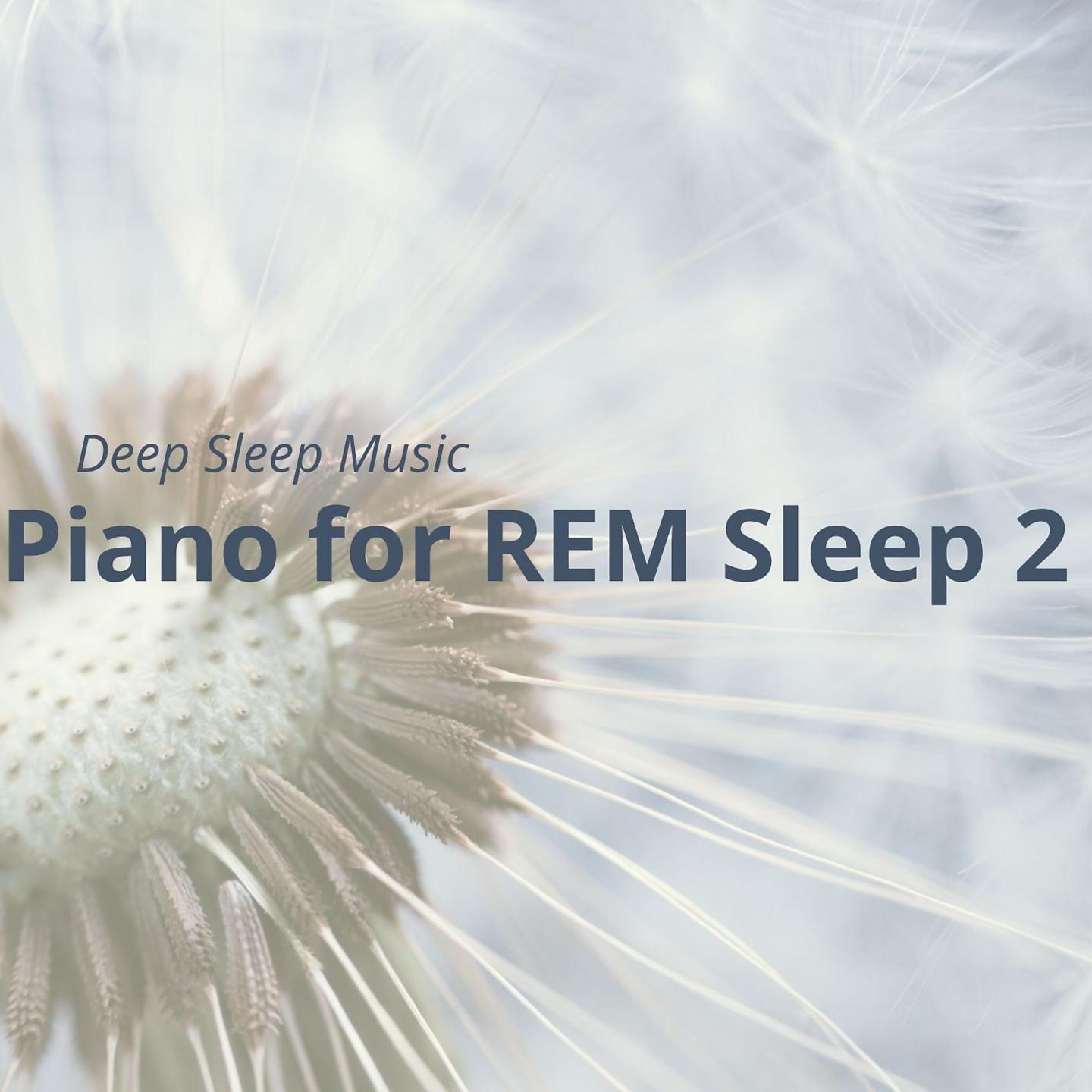 Постер альбома Deep Sleep Music: Piano for REM Sleep, Vol. 2