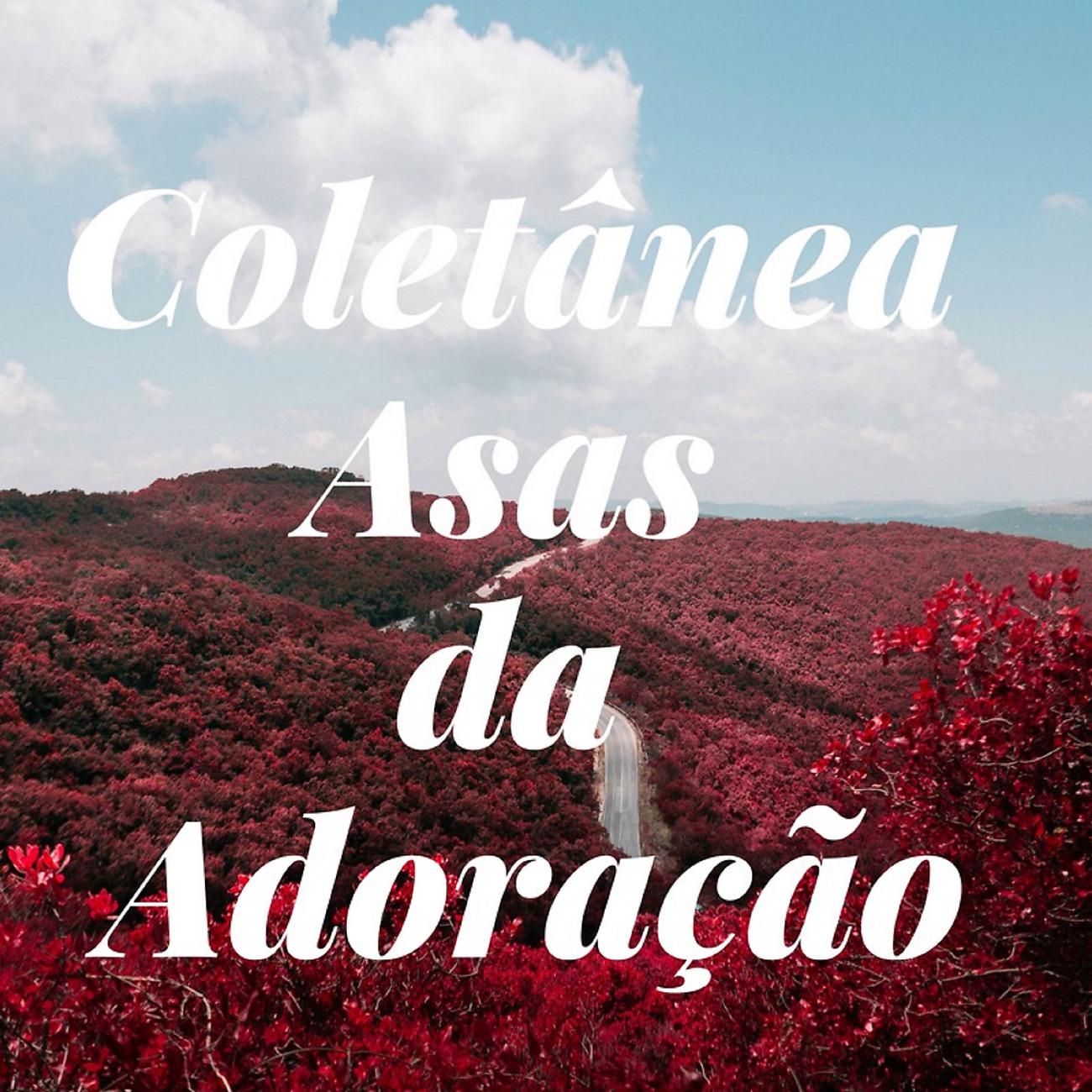 Постер альбома Coletânia Asas da Adoração 20 anos