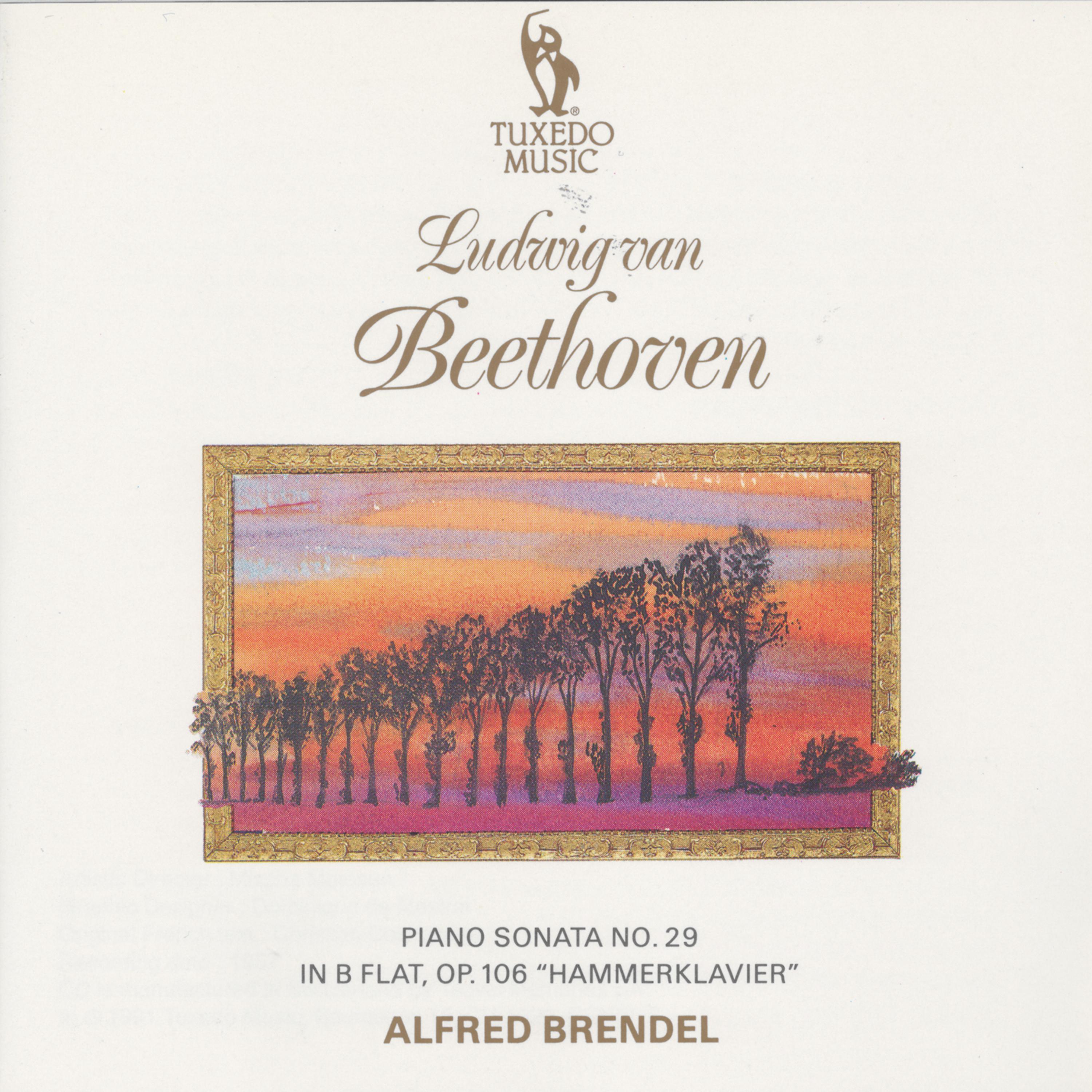 Постер альбома Beethoven: Piano Sonata No. 9 in B-Flat, Op. 106 "Hammerklavier":