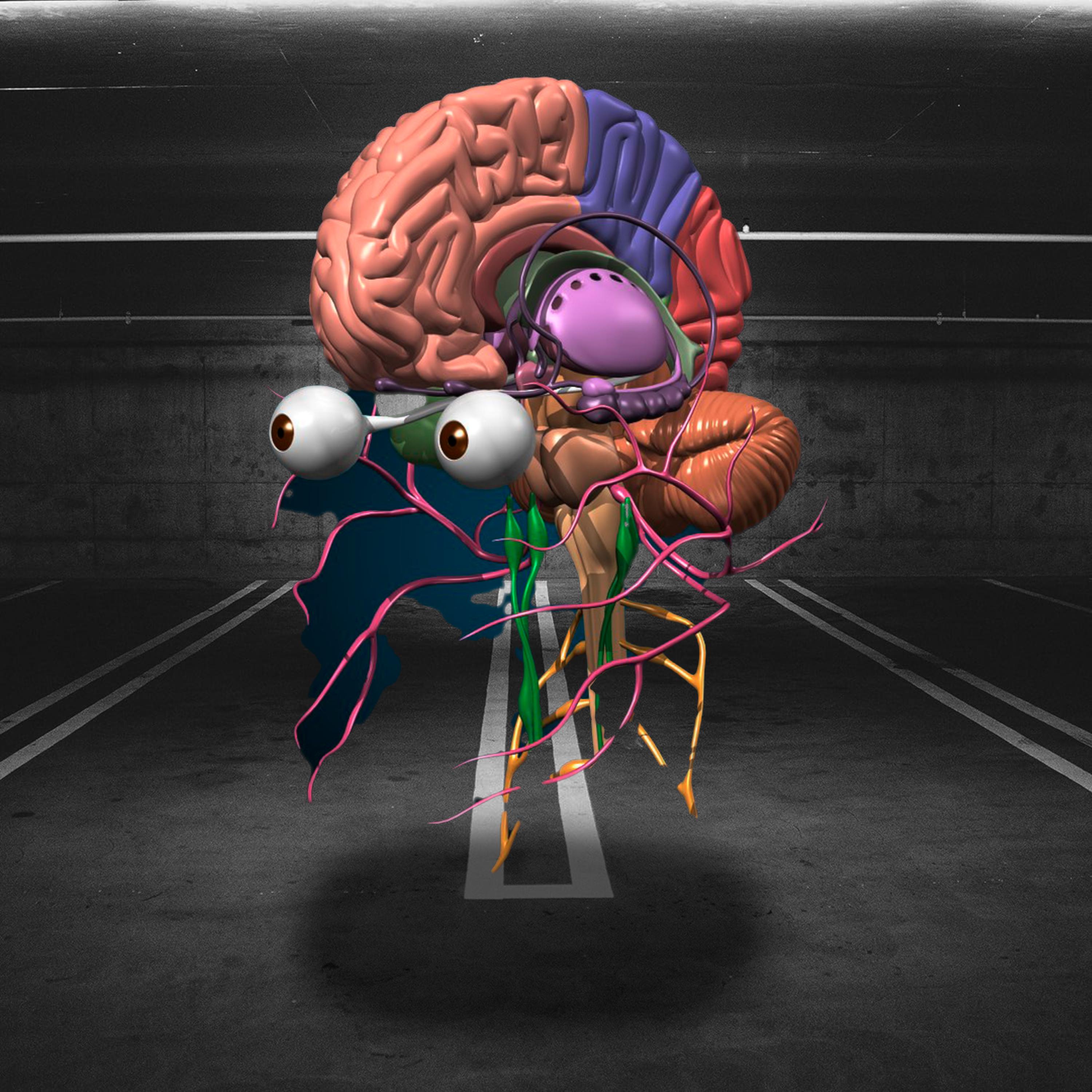 Постер альбома Нервная система