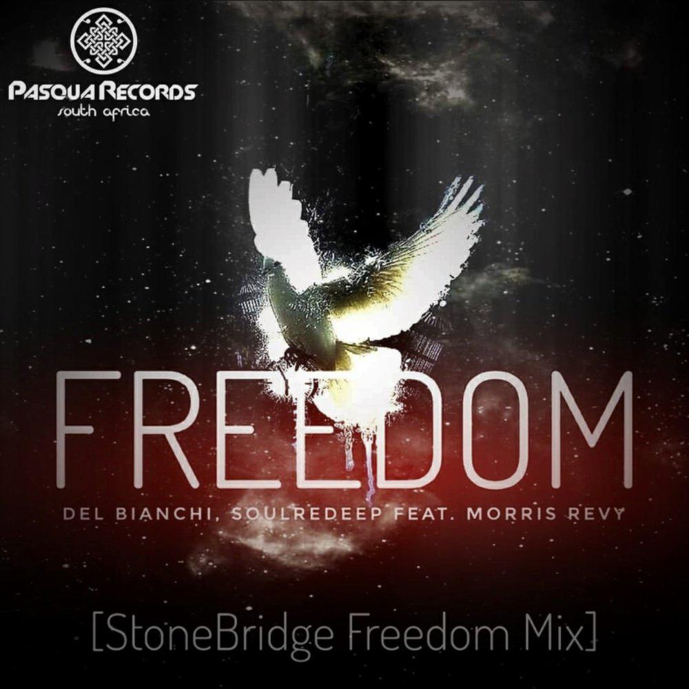 Постер альбома Freedom (StoneBridge Remix)