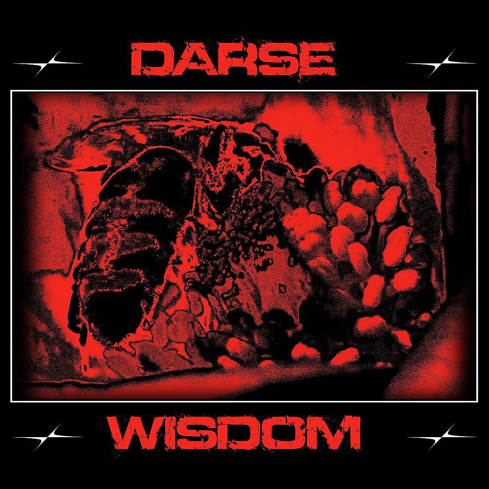 Постер альбома Wisdom