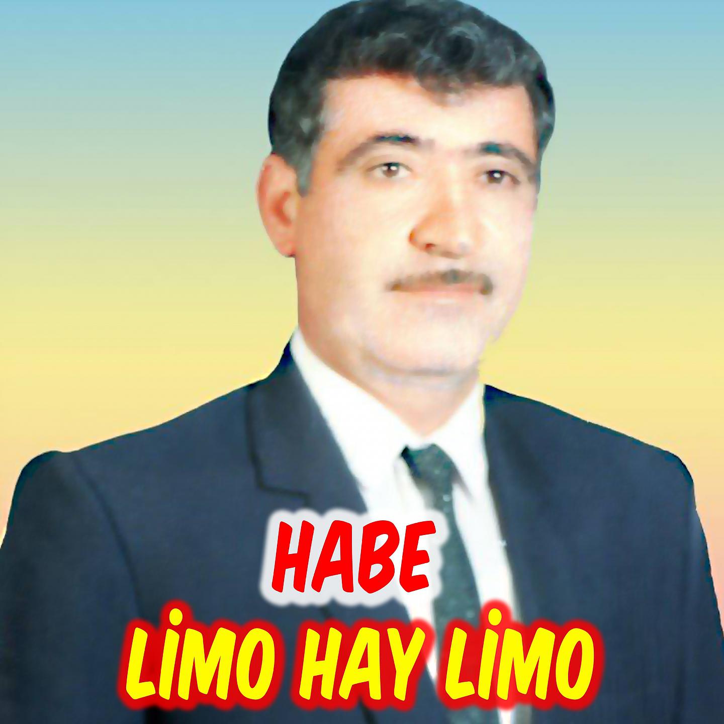 Постер альбома Limo Hay Limo
